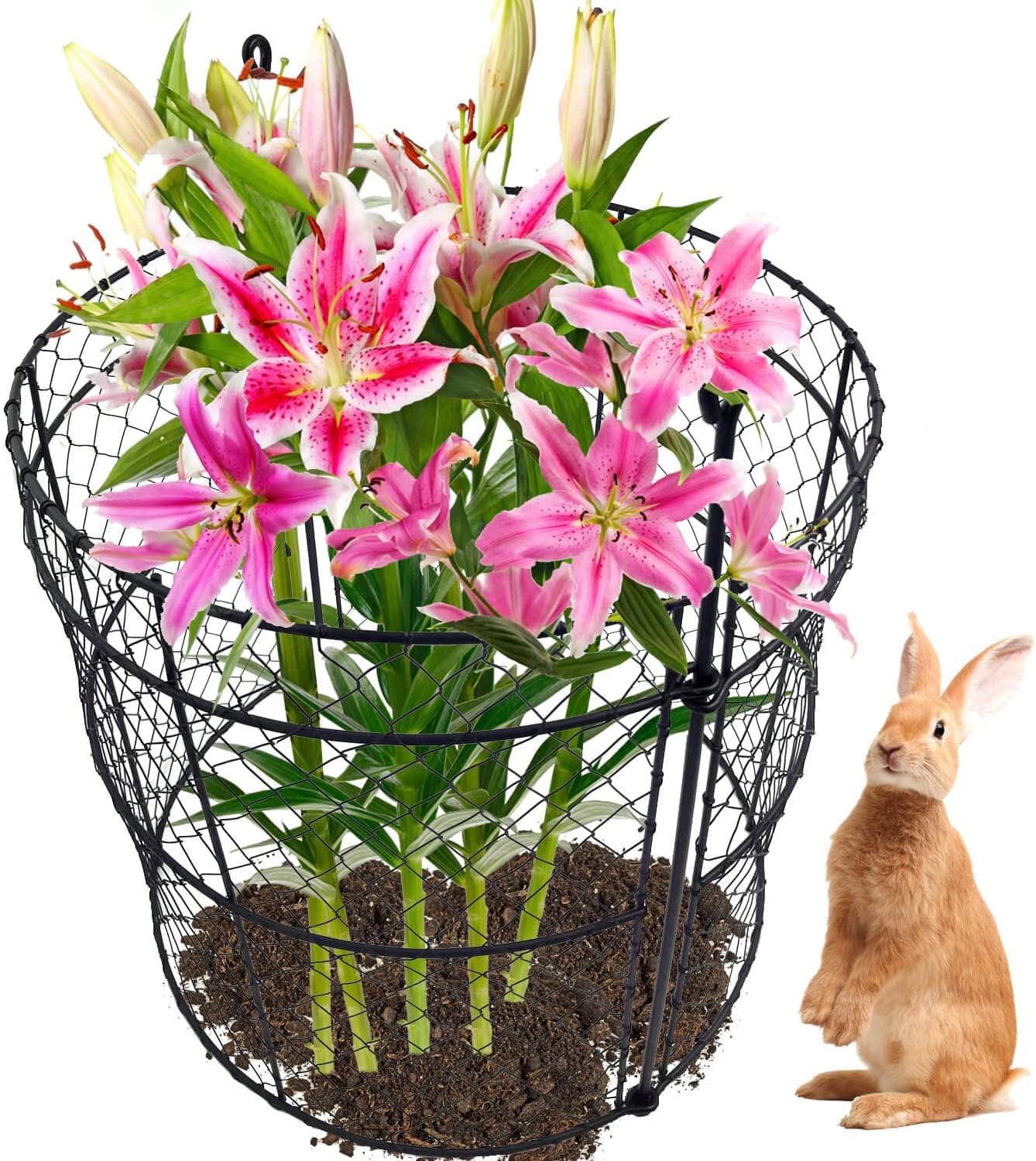 10 Pack Garden Plant Protection Cloches 14"x16", Heavy Duty Chicken Wire Plant Protectors, Rustproof Metal Garden Cages to Shield Seedlings, Flowers & Vegetables from Animals