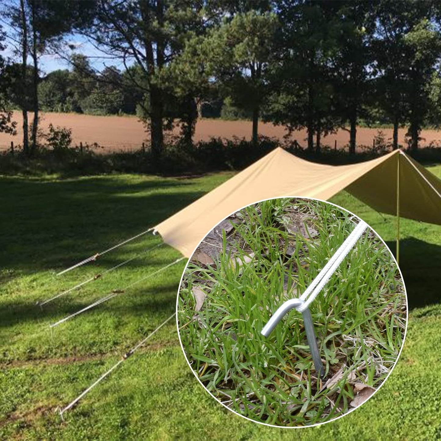 AAGUT Tent Stakes, Tent Stake Metal Garden Edging Fence Hooks Yard Camping Stake Heavy Duty Galvanized 9 Inch (9 Inch Tent Stakes KIT, 50)