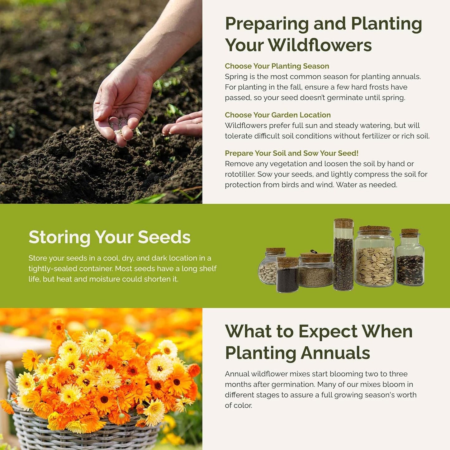 Eden Brothers Orange You Glad Flower Mixed Seeds for Planting, 1/4 lb, 120,000+ Seeds with Dahlia, Double Strawflower | Attracts Pollinators, Plant in Spring or Fall, Zones 3, 4, 5, 6, 7, 8, 9, 10