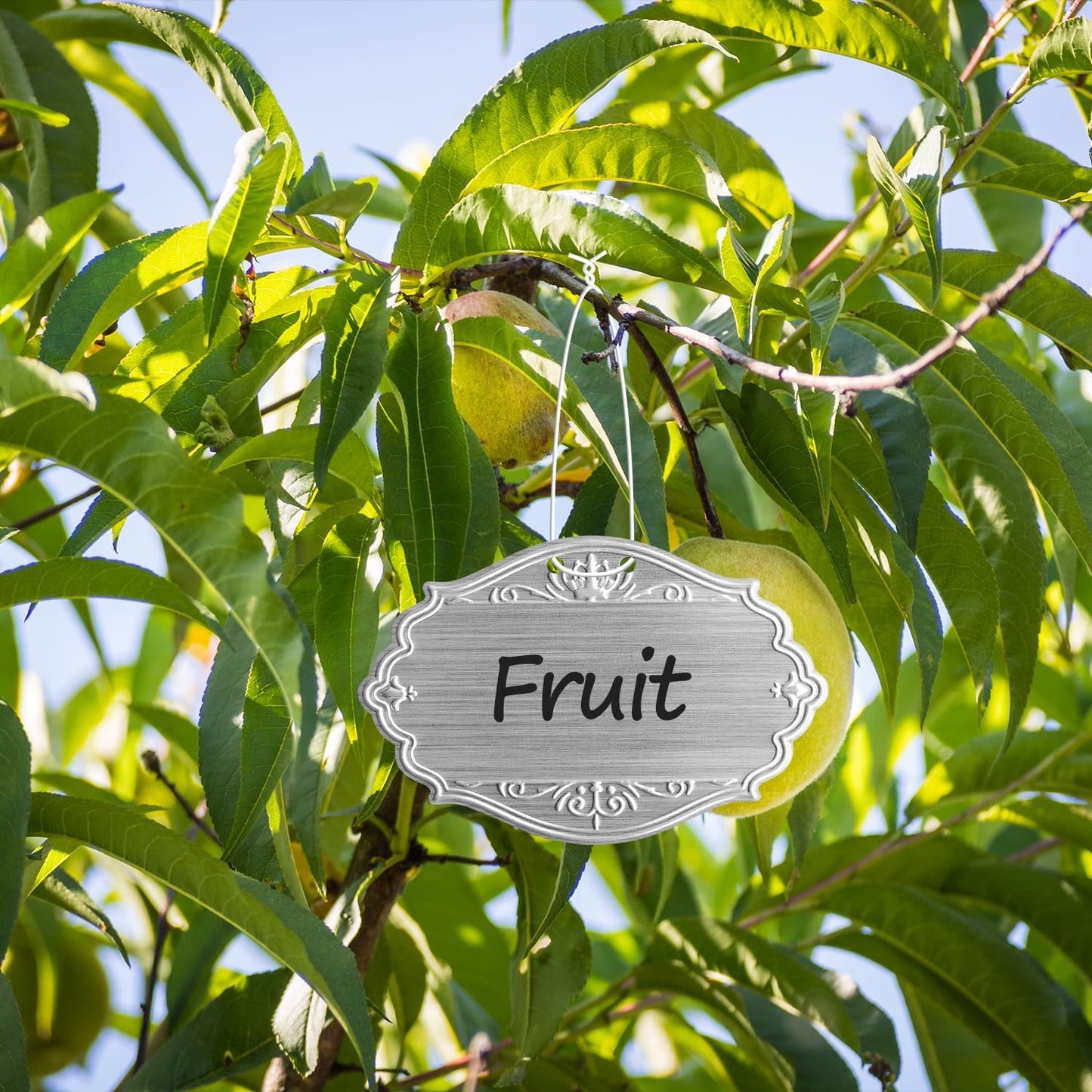 40PCS Plant Labels,Bigger Size Aluminum Metal Plant Tags Plant Label for Outdoor Garden Waterproof,Silvery Plant Name Tags for Tree,Vegetables,Herbs