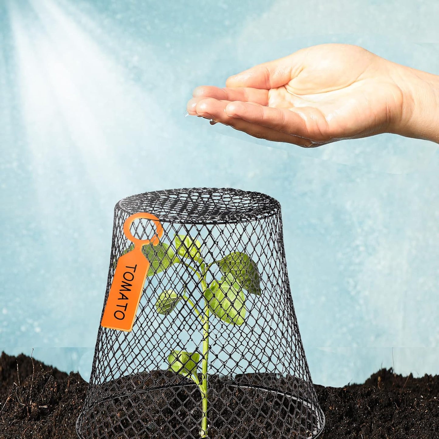 20 Pcs 9×9inch Chicken Wire Plant Covers Wire Garden Cloches Chicken Wire Cloche Plant Protector Metal Heavy Duty Garden Plant Cloche for Keeping Bunnies Chicken Squirrels Birds Other Out