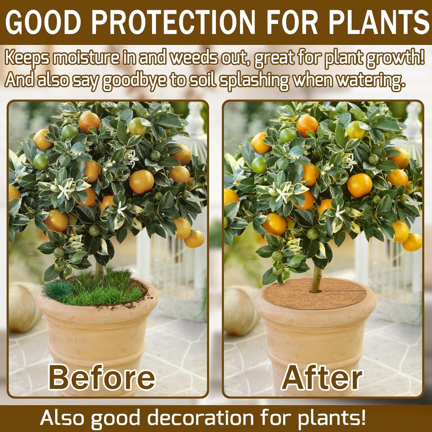 ZeeDix 12 Pack 12 Inch Coconut Fiber Mulch Ring, 100% Natural Coco Coir Tree Ring Mulch Mat Plant Protector Mat, Coconut Coir Discs Plant Pot Soil Cover for Indoor Outdoor Plants, Garden Decoration