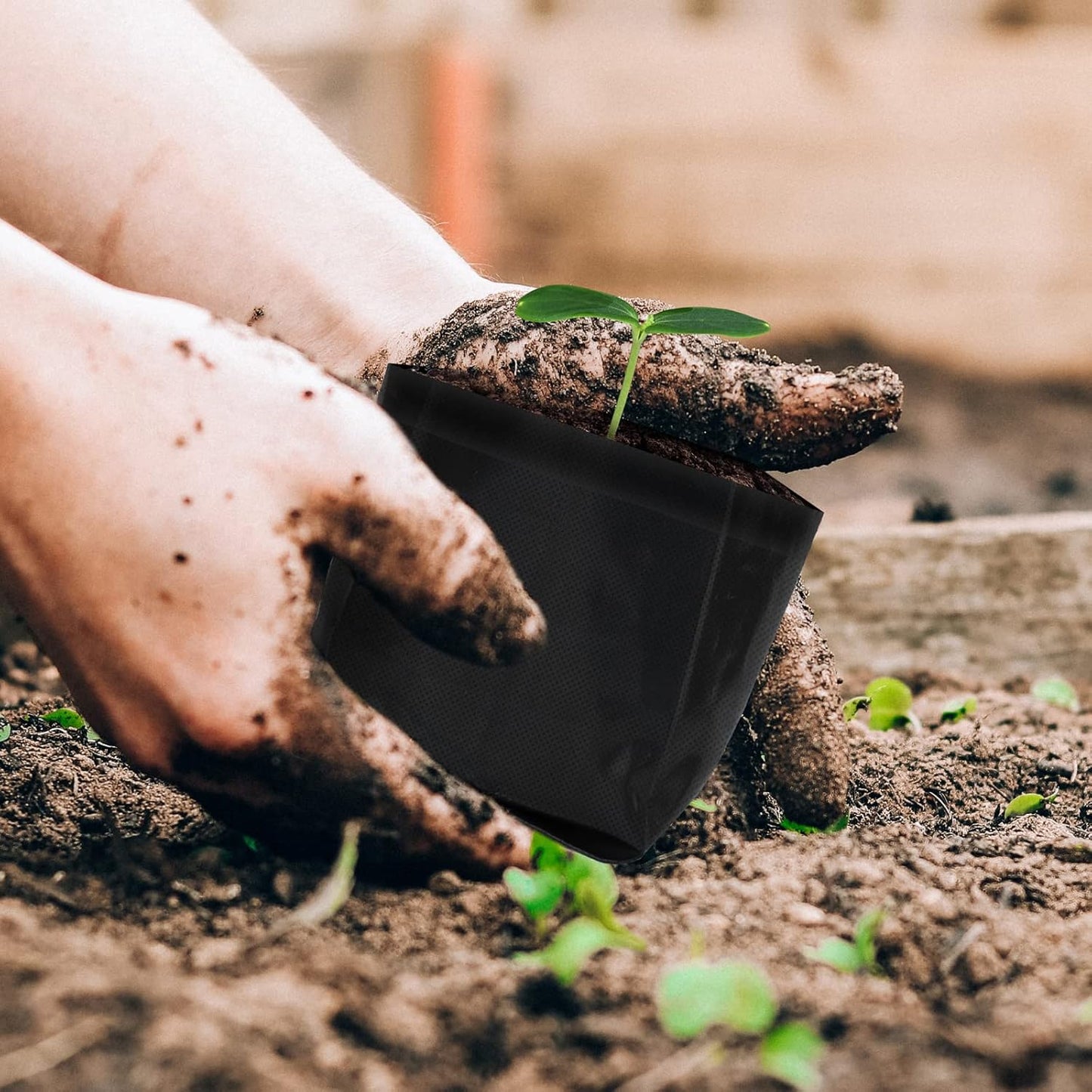 AC Infinity Nursery Bags 1/4 Gallon, Non-Woven Fabric Growing Pouches, 50-Pack Plant Pots for Seed Starting, Soil Transplant, Home Garden Supply