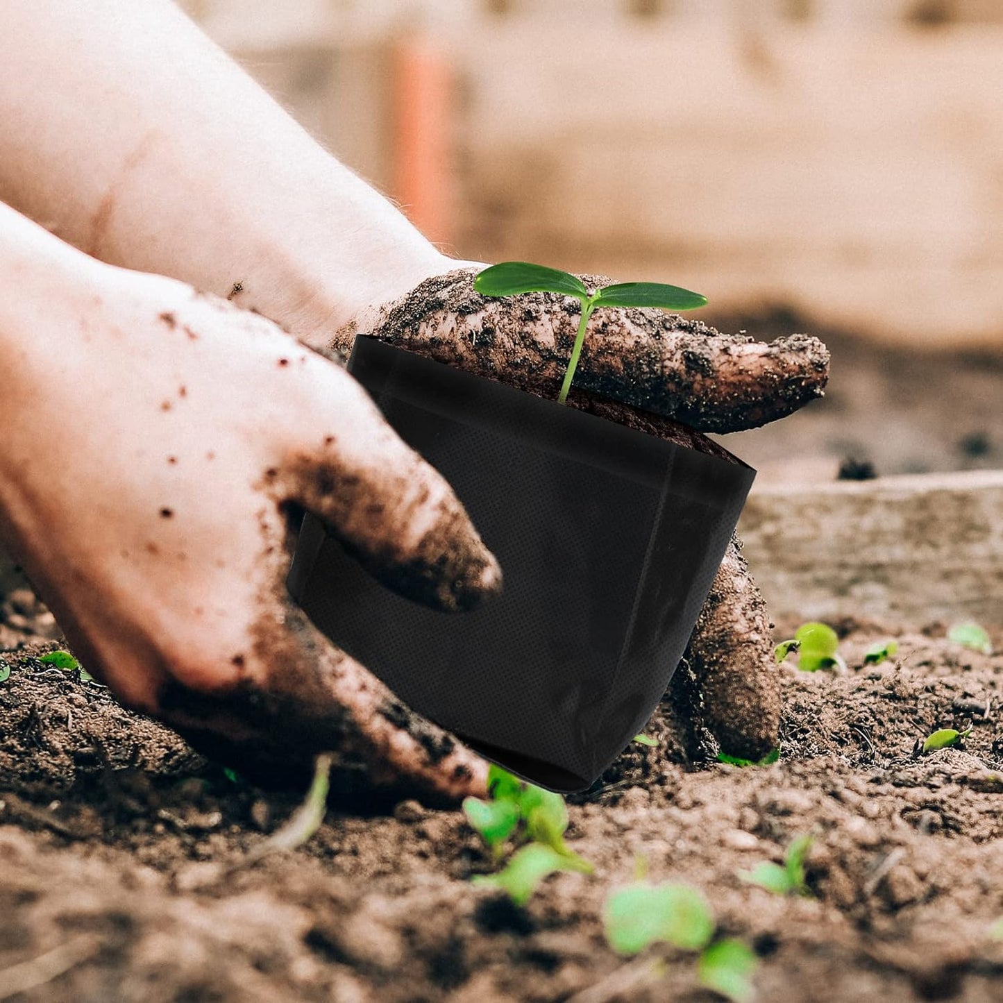 AC Infinity Nursery Bags 1 Gallon, Non-Woven Fabric Growing Pouches, 50-Pack Biodegradable Plant Pots for Seed Starting, Soil Transplant, Home Garden Supply