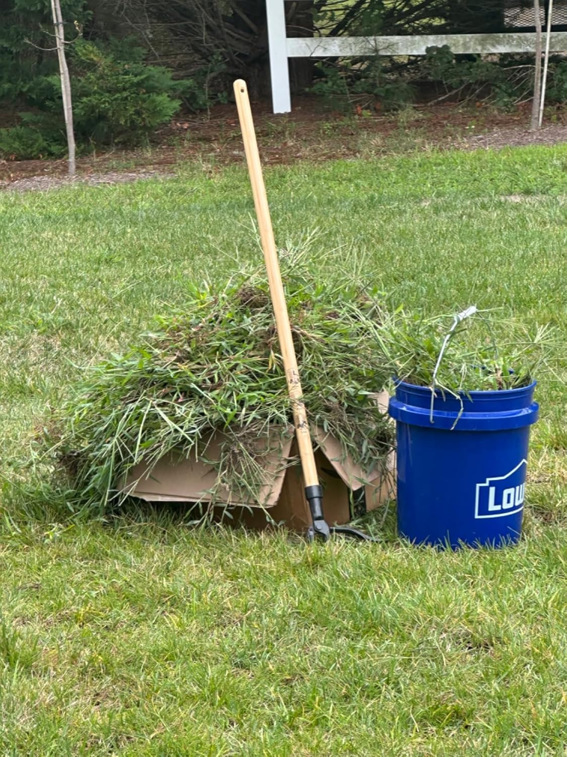 Edward Tools PullPro Long Handle Weed Puller Tool - 48" Classic Heavy Duty Hardwood Handle with 4 Claws Steel Head - Improved Stand Up Weed Remover Tool - Easy Stand Up Tool for Seniors