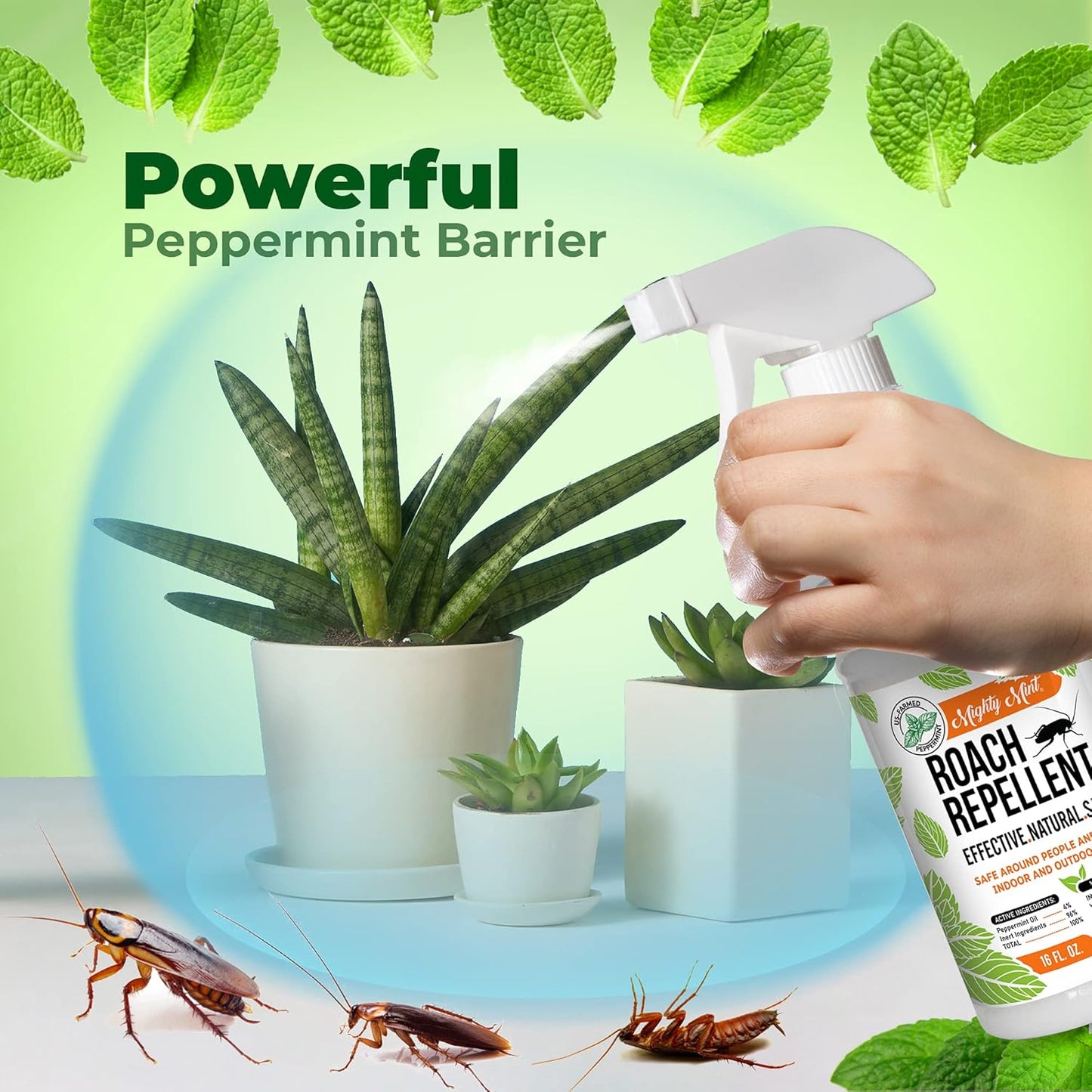 Mighty Mint Peppermint Oil Roach Repellent Spray – Natural Cockroach Killer for Indoor & Outdoor Use – Plant-Based Insect & Pest Control – 16 oz