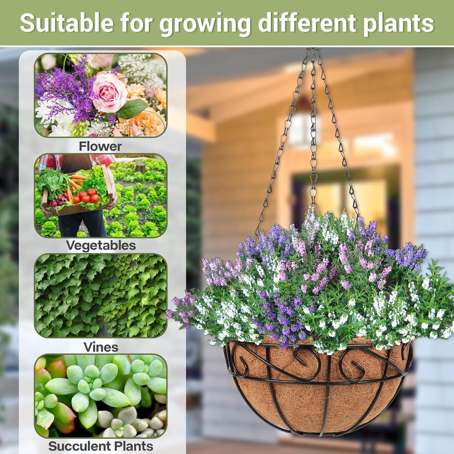 2 Pack 10 inch Metal Hanging Baskets for Plants Outdoor, Hanging Planters Basket with Coco Liners, Hanging Baskets Flower Pots for Garden, Patio, Deck, Porch Plants