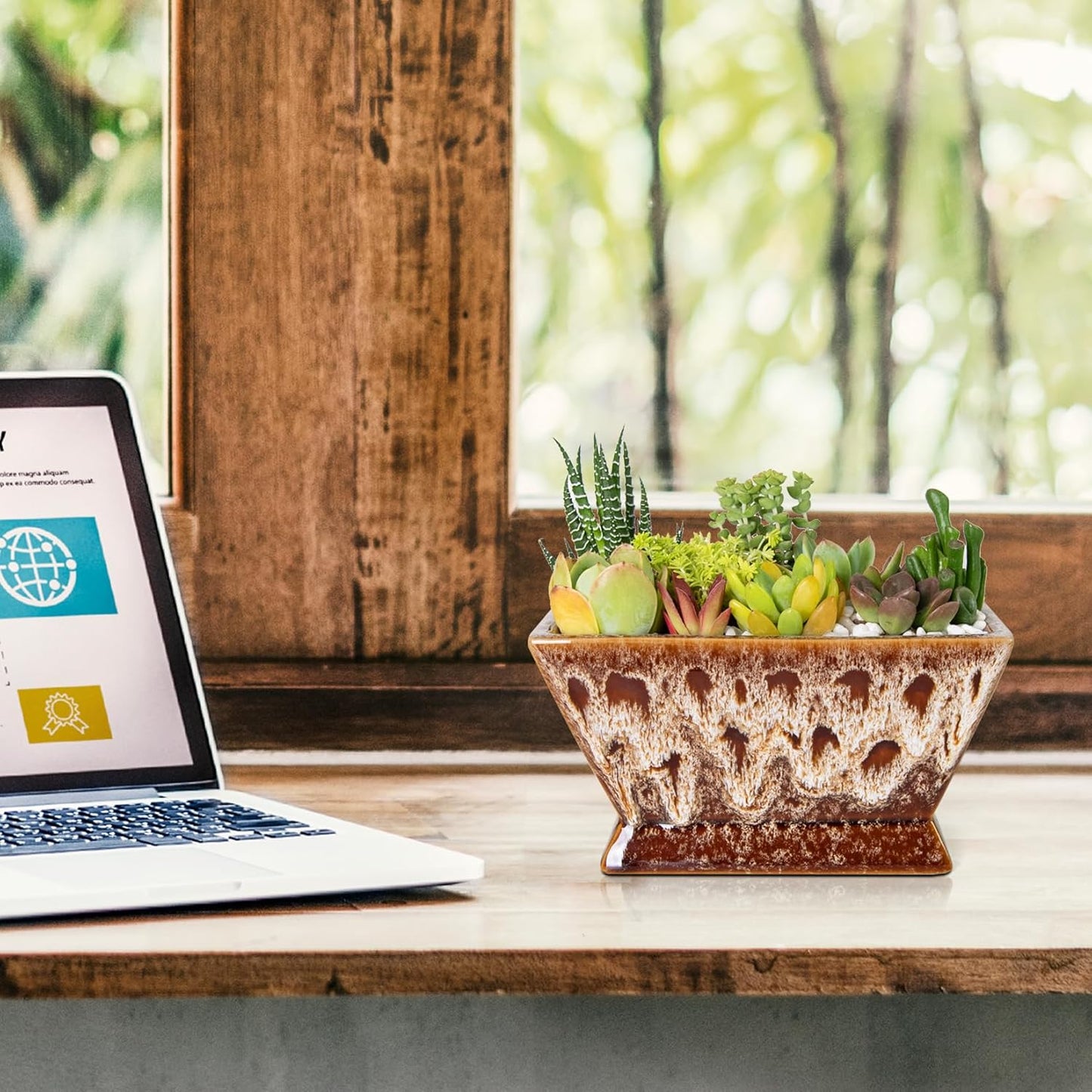 ARTKETTY Succulent Pots - 7 Inch Large Plant Pot with Drainage, Shallow Bonsai Pots Ceramic Succulent Planters for Indoor Outdoor Plants, Modern Cactus Pot Decorative Home Office