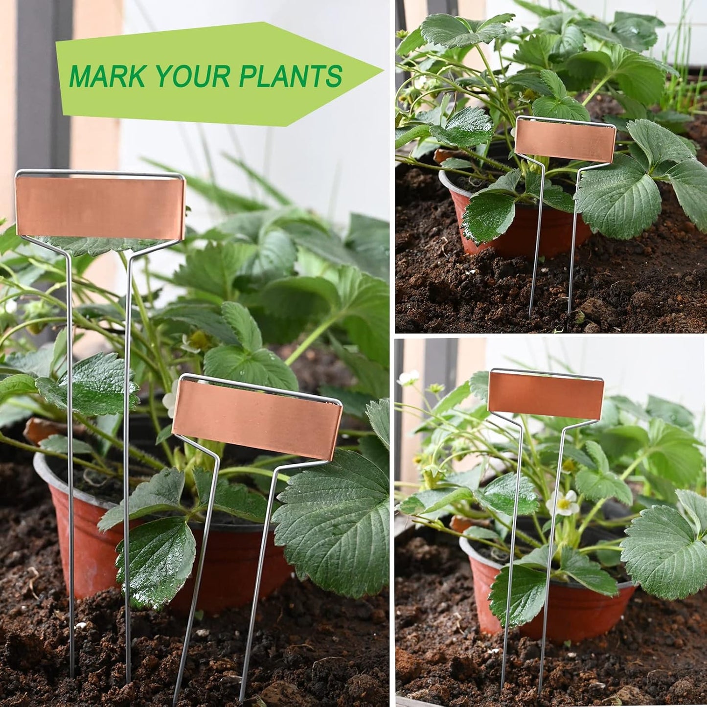 30-Pack Copper Plant Markers Metal Plant Labels 6in&10inch Plant Markers for Outdoor Plants, Garden Markers Plant Labels for Seedlings Herbs Flowers Vegetables Tree Tags Gardening Gifts