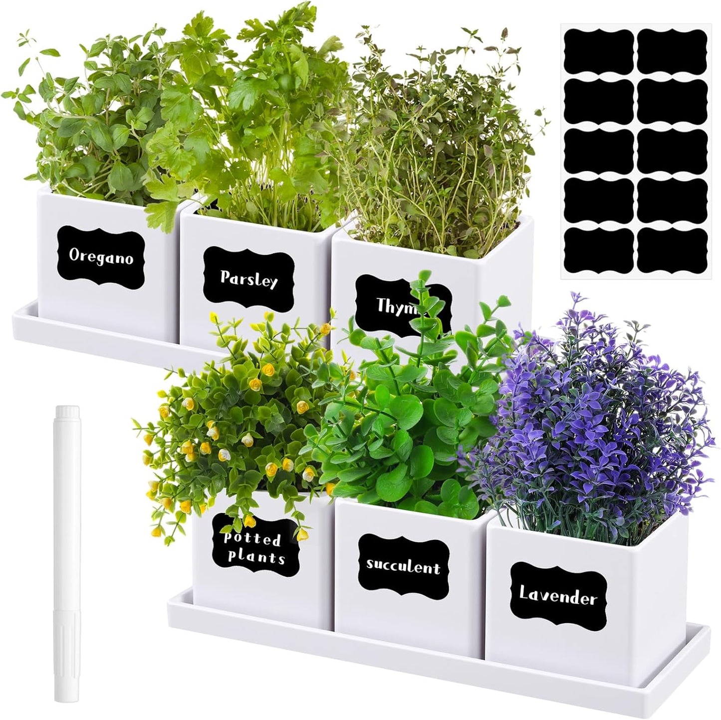 6 Pcs Herb Garden Planter Set Herb Garden Kit Indoor Plastic Plant Pots with Drainage and Saucer Succulent Cactus Vegetable Window Boxes Planter for Windowsill Indoor Outdoor Pots