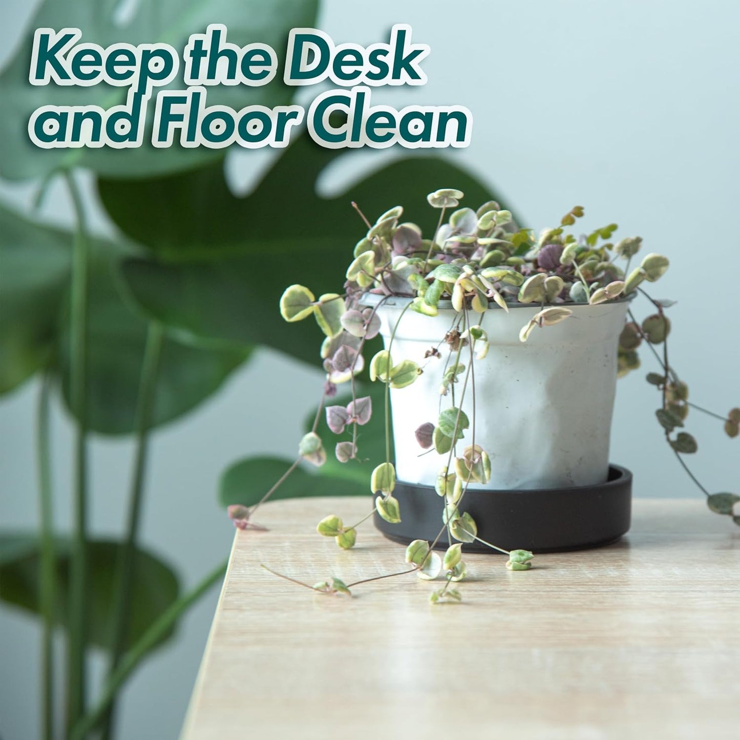 Phoenix Vine 4 Inch Plastic Plant Saucer Water Drip Tray, Heavy Sturdy Round Plant Drainage Tray for Indoors Outdoor, Set of 4, Matte Black, 21-TY-4B-4