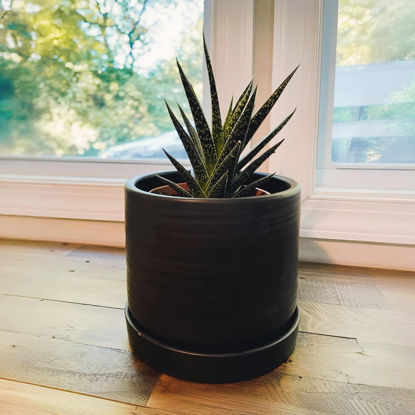 6 Inch Plant Pots, Ceramic Planter Pot with Drainage Hole & Saucer, Indoor/Outdoor Cylinder Round Planter Pot, Matte Black