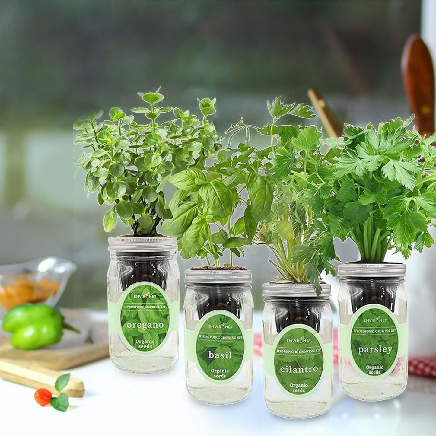 Hydroponic Herb Growing Kit Set, Self-Watering Mason Jar Herb Garden Starter Kit Indoor, Grow 4 Kinds of Herbs from Seeds (Cilantro,Basil,Parsley&Oregano)