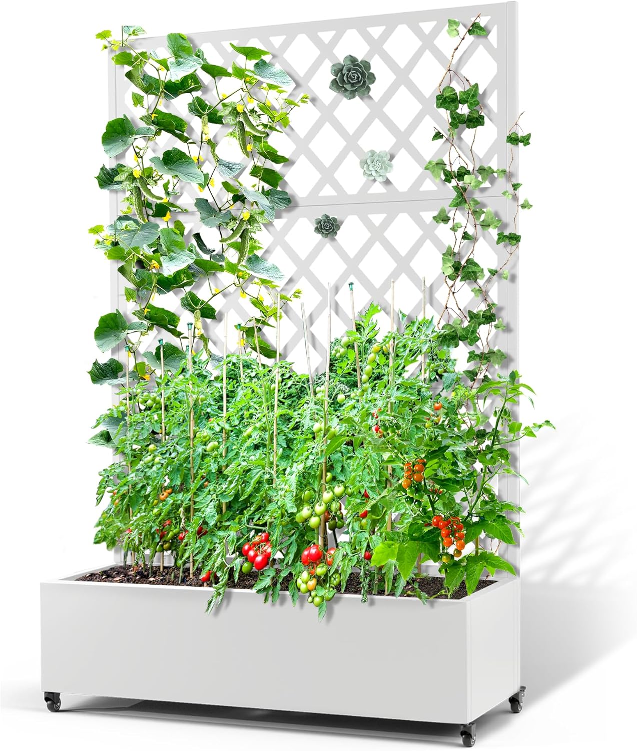 Metal Planter Box with Trellis & Wheels, Raised Garden Bed with Privacy Screen, Outdoor Standing Flower Beds with Drainage Hole for Climbing Plants, Vine, 47.2''L×15.7''W×70.9''H, White