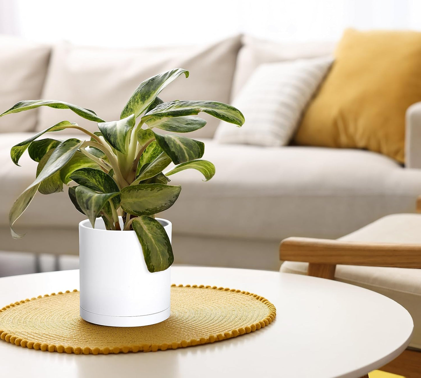 D'vine Dev 2 Pack 6 Inch Modern Plastic Plant Pots, Small Garden Planters for Plant with Drainage Holes and Saucers, White Color, 74-Z-J-1