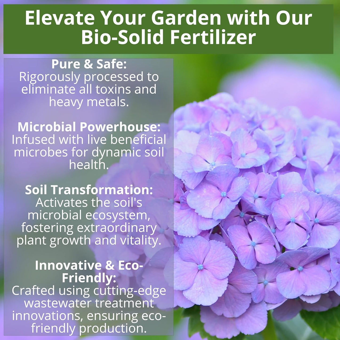 8-4-8 Acidic Fertilizer for Azaleas, Camellias (Camelia), Hydrangeas, Blueberries, Gardenias, Magnolia Trees, Evergreens, and Rhododendrons - Ideal Iron-Rich Plant Food (2 QUARTS)