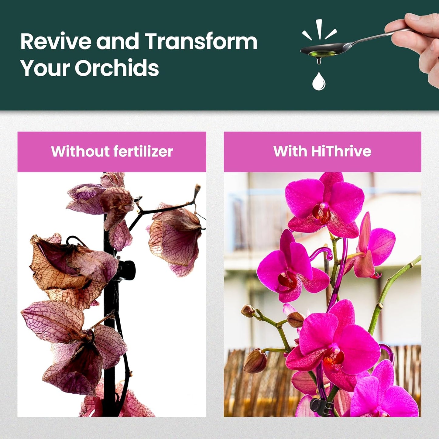 16oz Orchid Fertilizer - Makes 32 Gallons of Orchid Food, Indoor Plant Fertilizer for Orchids Indoors & Outdoors, Indoor Plant Food with Micronutrients for Vibrant Blooms and Strong Roots