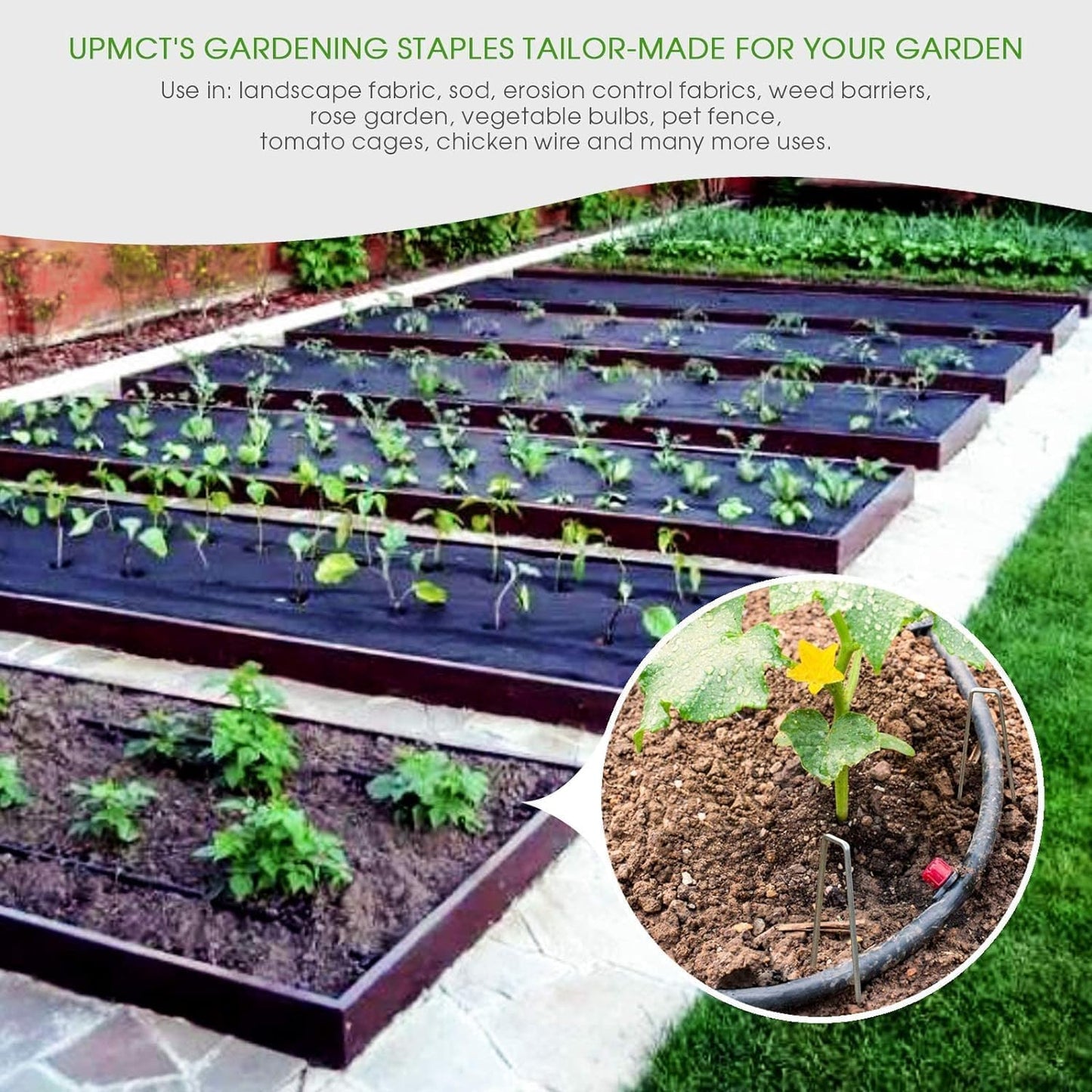 6 Inch Galvanized Garden Landscape Staples Stakes 25 50 100 PCS Anti-Rust Garden Staples U-Shaped Landscape Pins for Secure Lawn Fabric (100, 6 Inch)