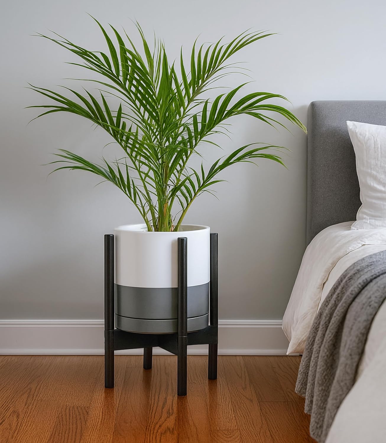 D'vine Dev Ceramic Planter with Ebony Stand - 10 Inch Modern Round Flower Pot with Wood Planter Holder, White/Grey, 55-B-L-6