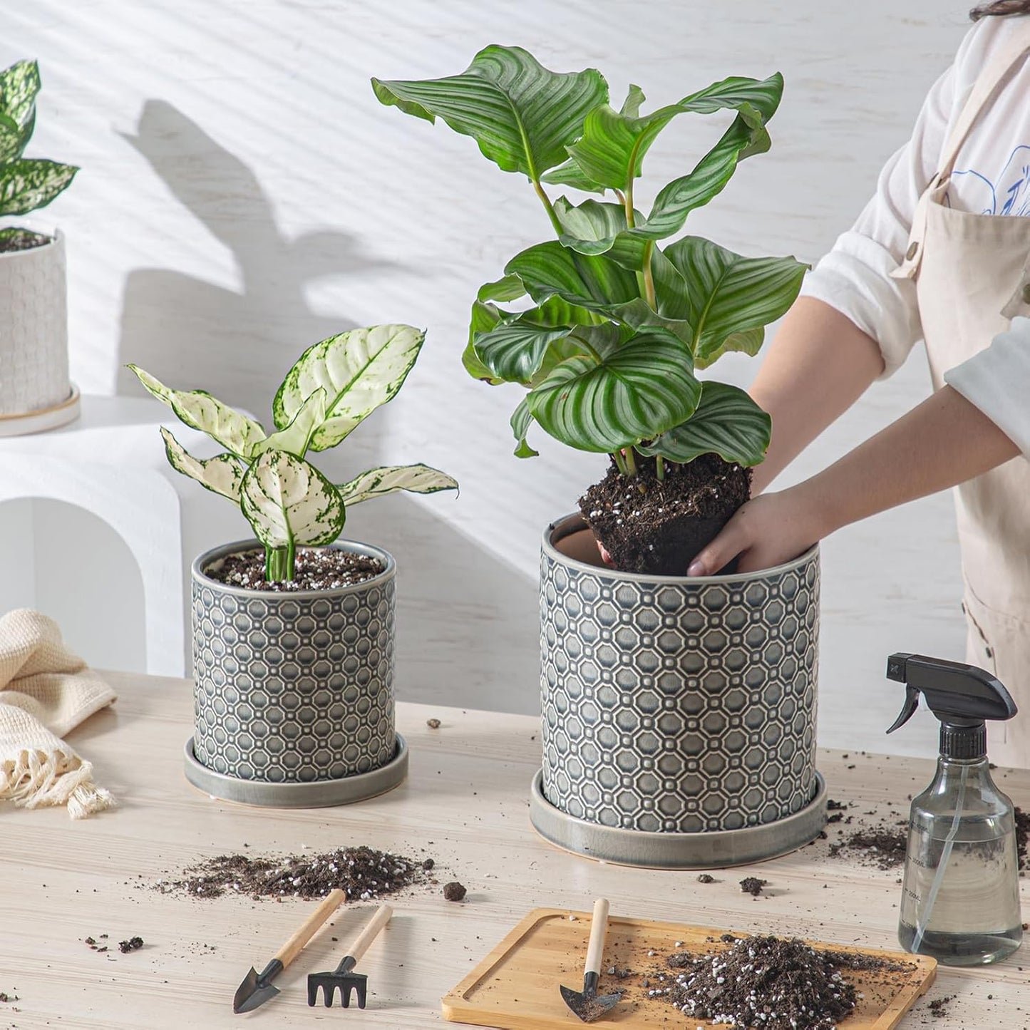 6 Inch Plant Pot: Ceramic Planter with Drainage Hole & Saucer Indoor Outdoor Plants - Cylinder Round Flower Pot for Home Office - Modern Decorative - Small Grey