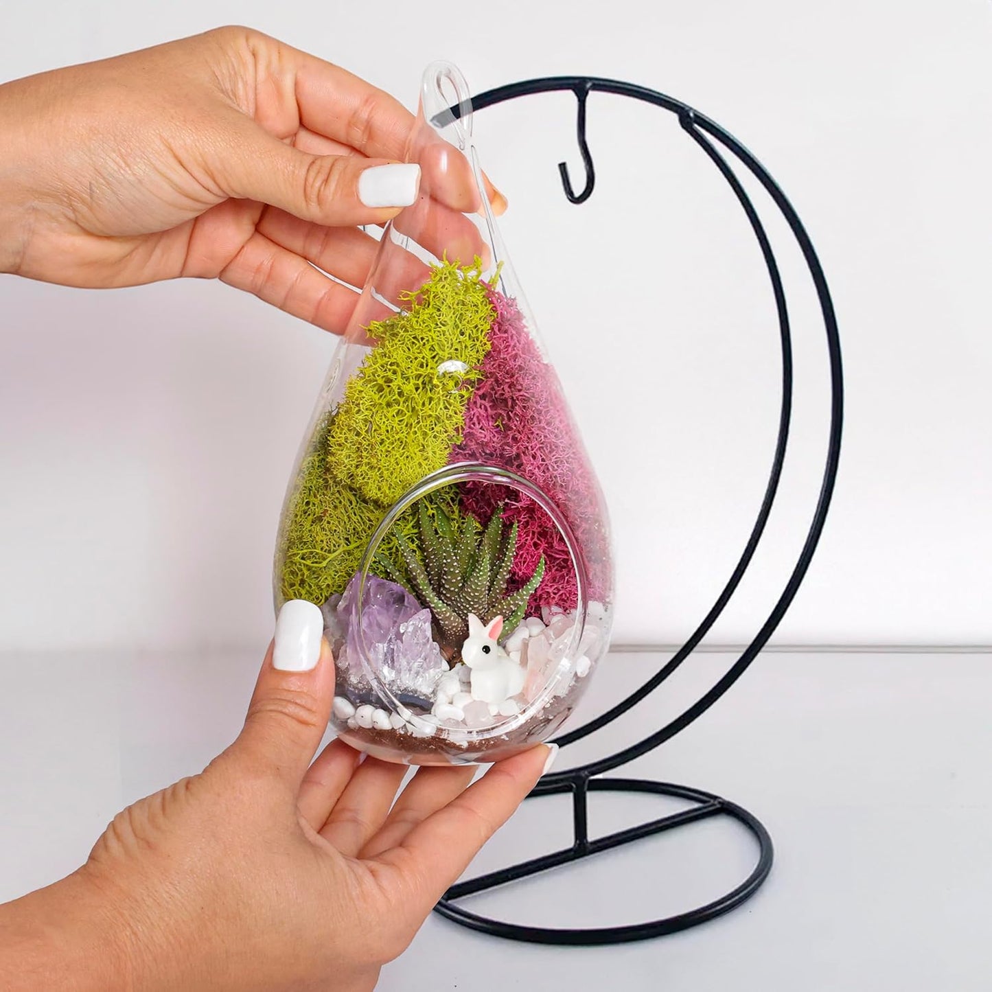 7" Teardrop Glass Succulent Terrarium Kit for Kids and Adults, Reindeer Moss, Crystal & Rocks, Tools, Figurine, Metal Hanger (Live Plant Included)