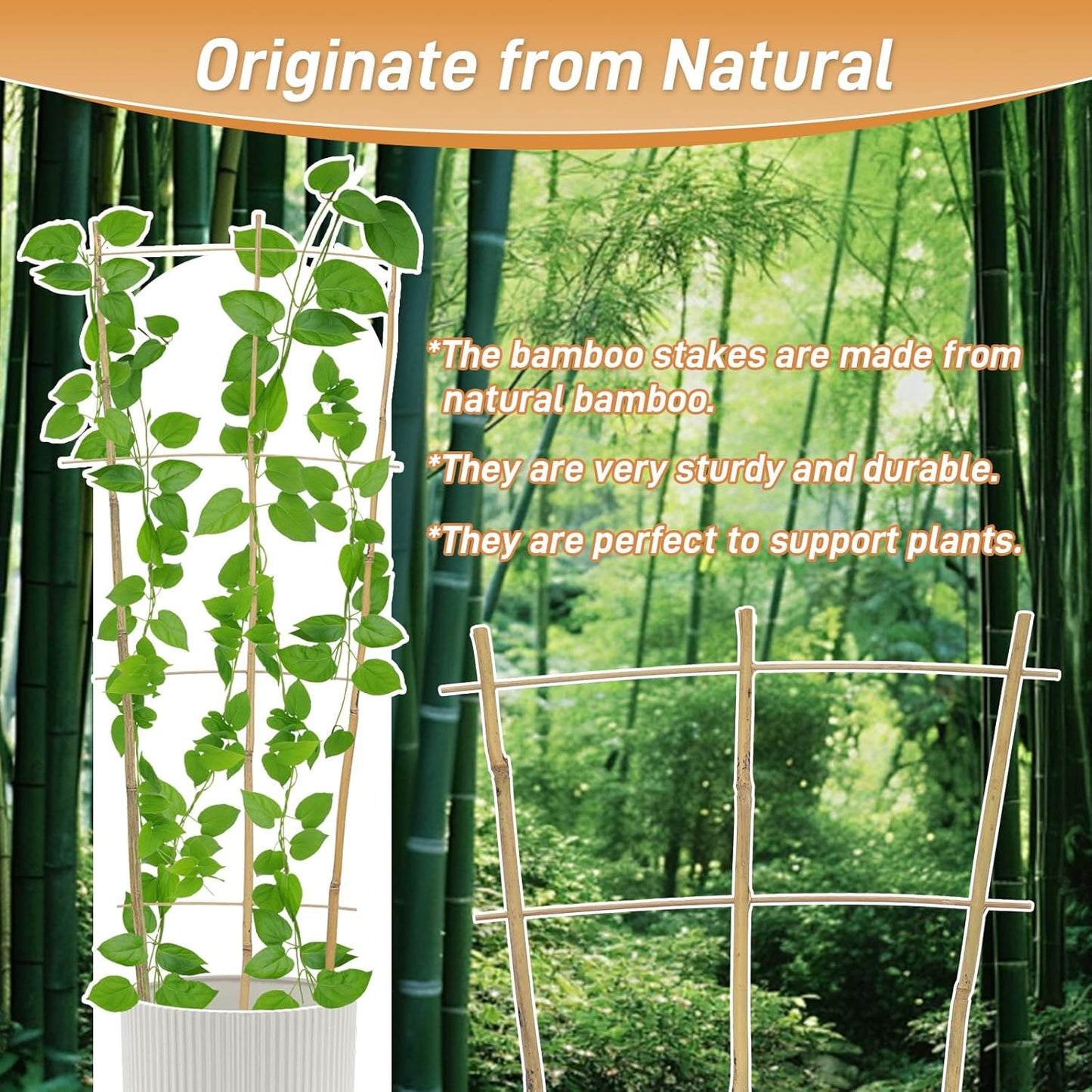 10 Pack 2ft Bamboo Trellis for Climbing Plants-Natural Garden Ladder Trellis, Fan -Shaped Support Trellis for Potted Plant Decor in Door