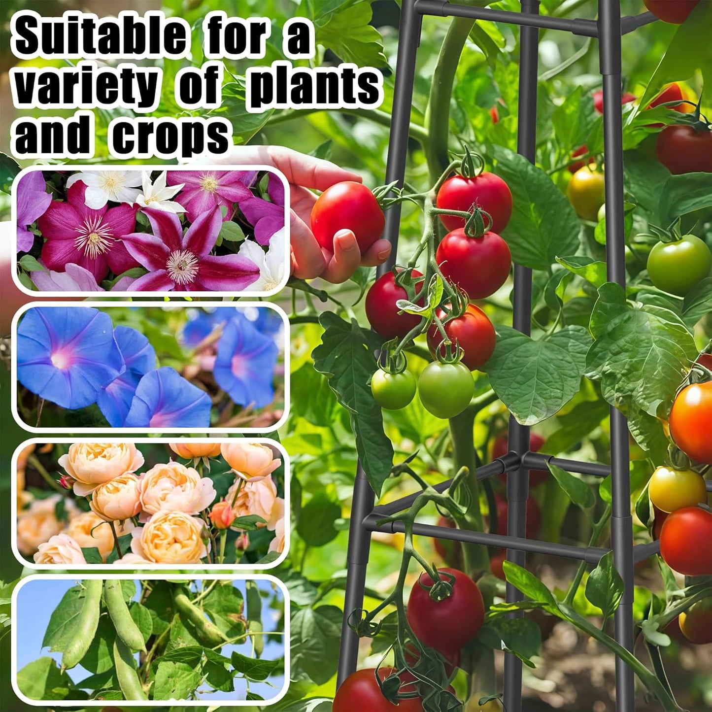 4FT Obelisk Trellis for Climbing Plants Outdoor, 16mm Rust-Proof Extra Thickened Plastic-Coated Metal Pipes, Indoor Climbing Support for Potted Plants, Vines, Flowers Stands,Black