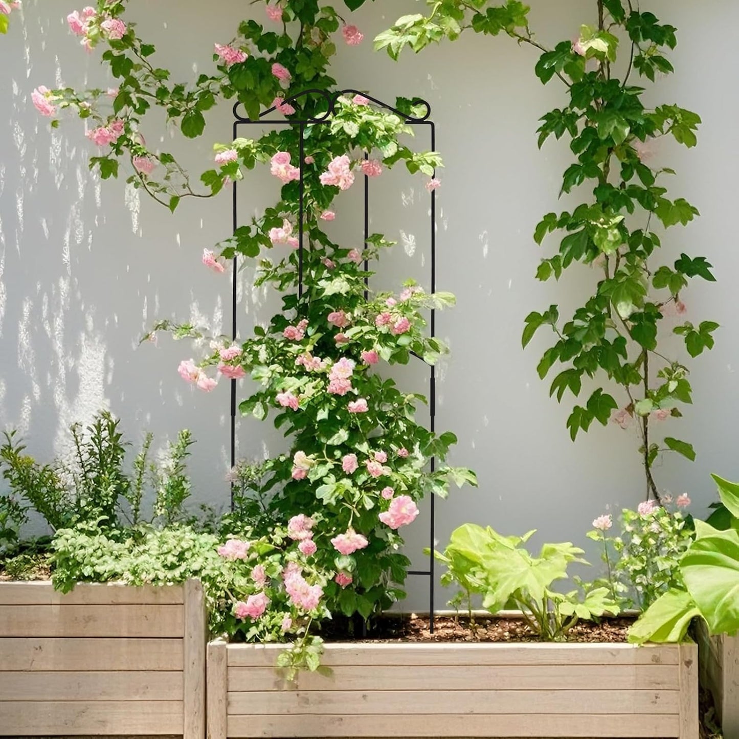 32 Inch Metal Plant Trellis for Climbing Plants Outdoor，4 Pack Garden Trellis for Potted Climbing Plants Indoor Houseplants Flowers Vine Ivy,Black,Rectangle