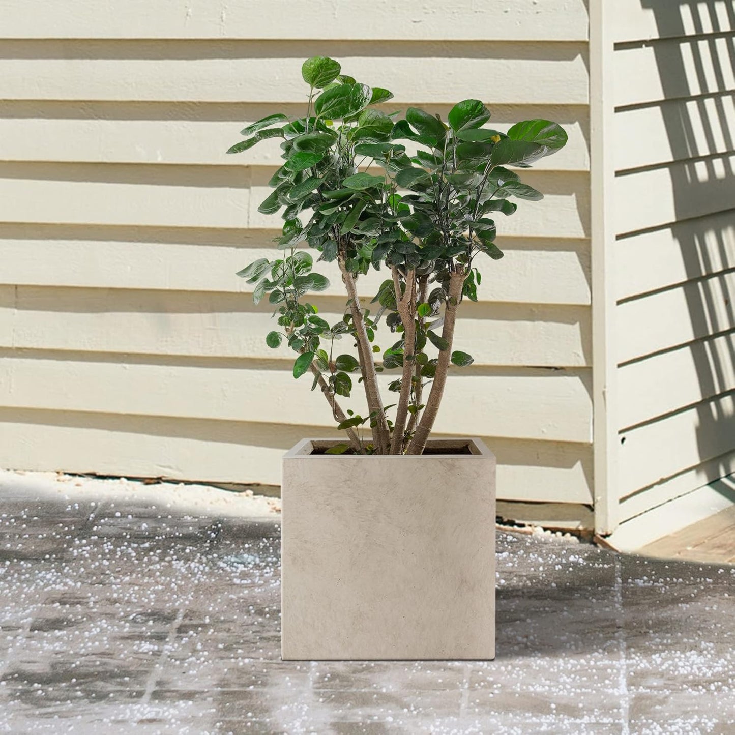 Kante 12 Inch Square Concrete Planter for Outdoor Indoor Home Patio Garden, Large Plant Pot with Drainage Hole and Rubber Plug, Weathered Concrete