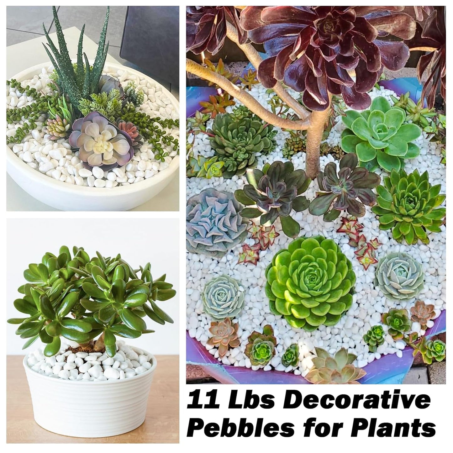 11Lbs Natural River Rocks for Plants 1''-2'' Large Landscaping Garden Stones White Aquarium Gravel for Decorative Pebbles for Indoor Outdoor Planters, Big Terrarium Rocks in Bulk, Home Decor