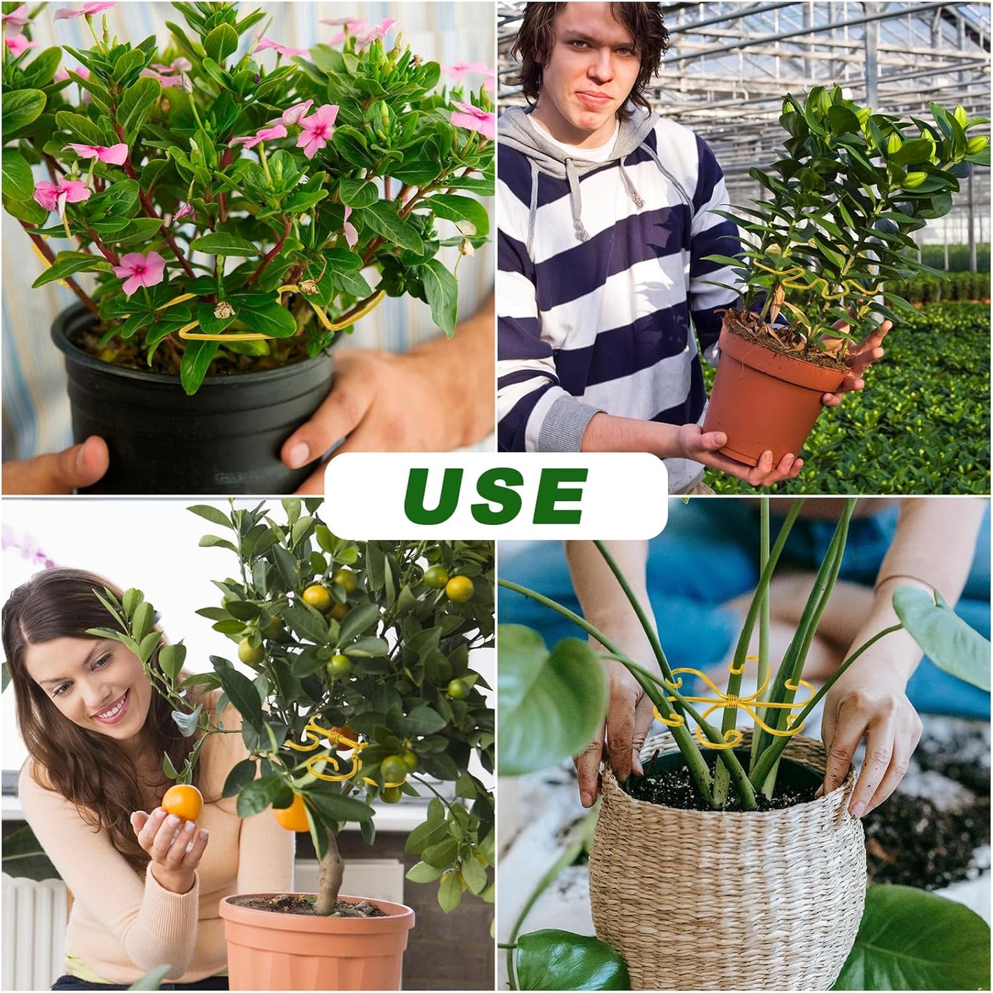 4 Pcs Metal Plant Stem Support Holder Monstera Plant Support Monstera Stabilizer for Outdoor & Indoor Growing Climbing Plants Stabilization and Support