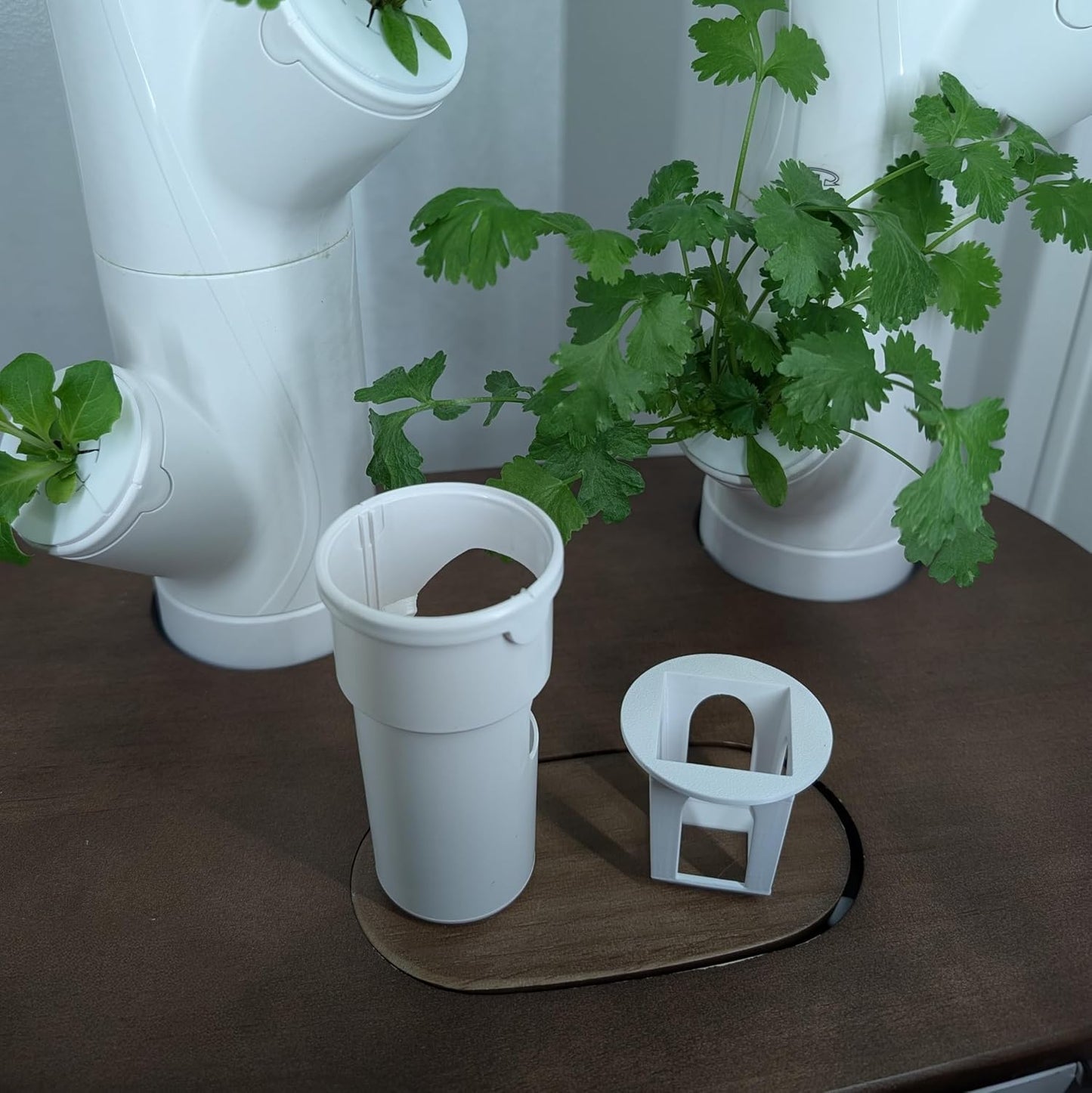 Grow Cubes for Hydroponic System/Compatible with Gardyn (20 Cubes+Rockwool)