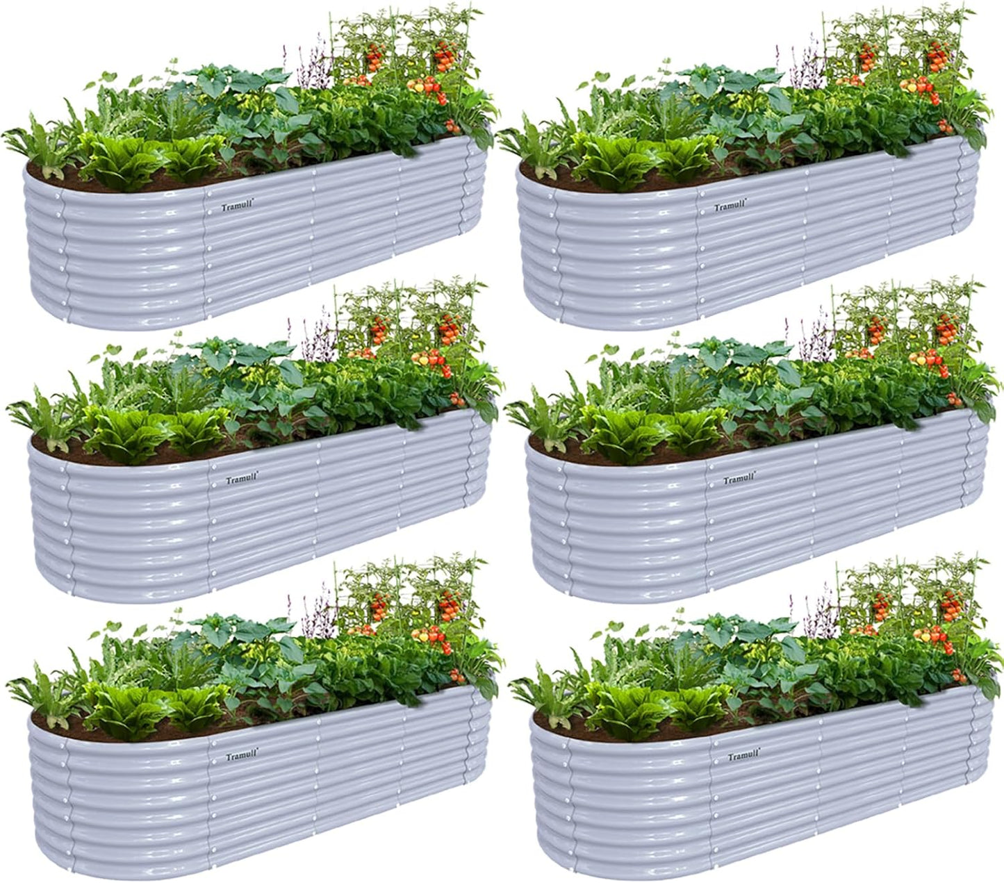 6 Pack 8x3x2FT Galvanized Raised Garden Bed Kit Oval Metal Ground Planter Box Outdoor Bottomless Planter Raised Beds for Vegetables Flowers Herbs Fruits, Gray