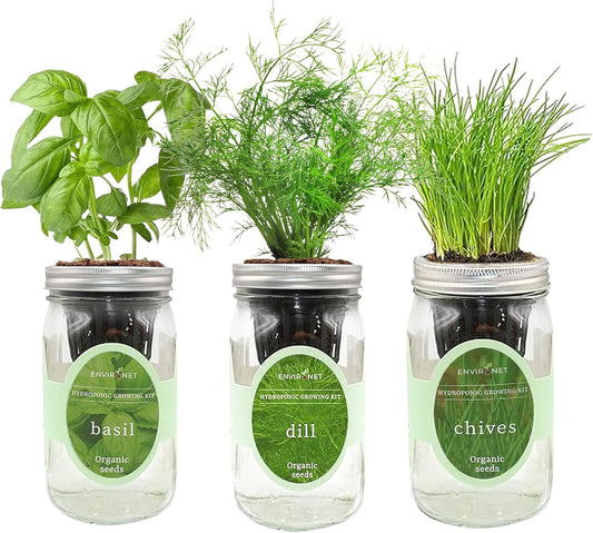 Hydroponic Herb Growing Kit Set, Self-Watering Mason Jar Herb Garden Starter Kit Indoor, Windowsill Herbs Garden, Grow Your Own Herbs from Organic Seeds (Basil, Dill, Chives)