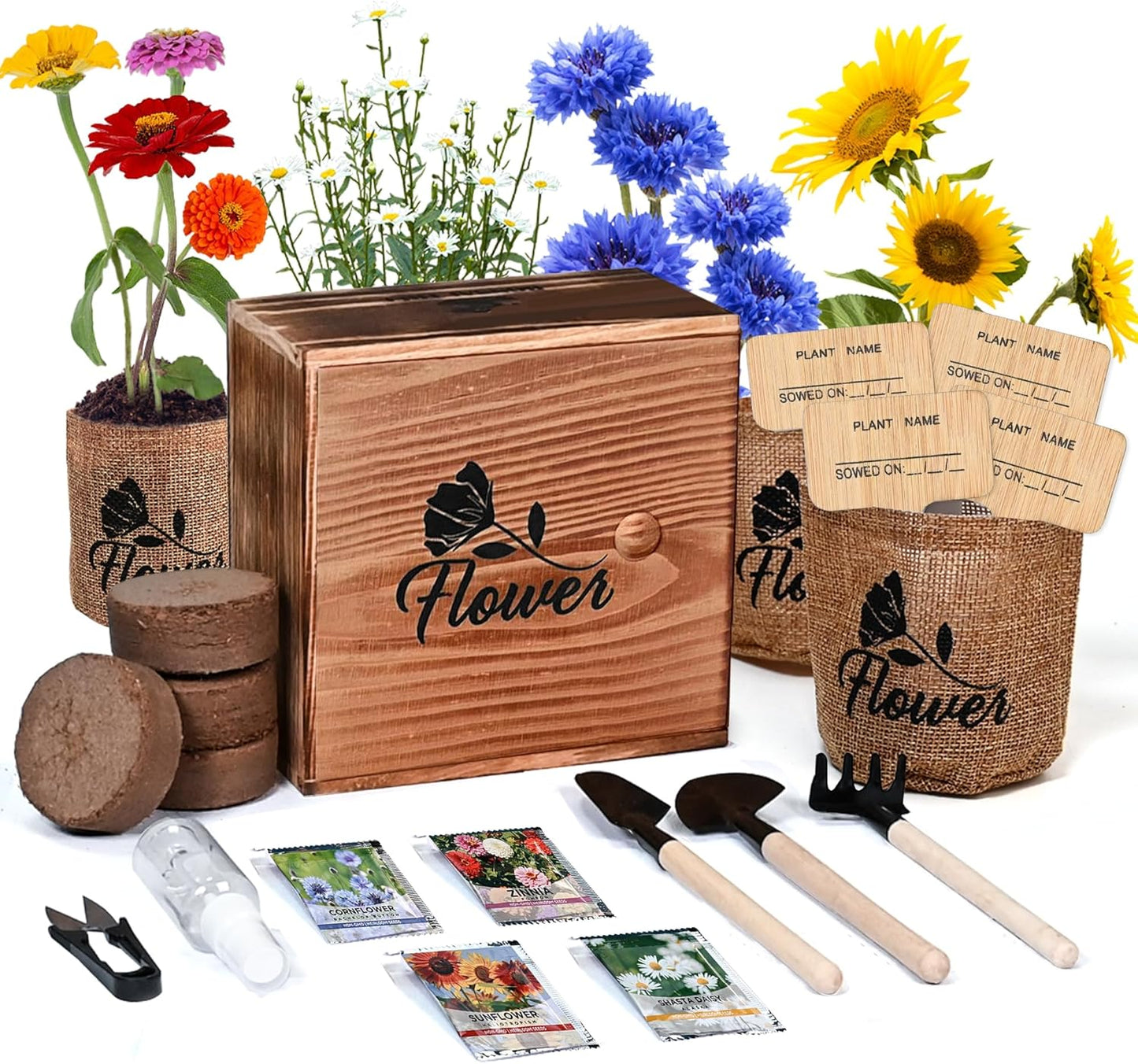 Indoor Starter 4 Kit with Complete Gardening Kit & Wooden Box, Growing into Shasta Daisy, Cornflower, Sunflower, Zinnia