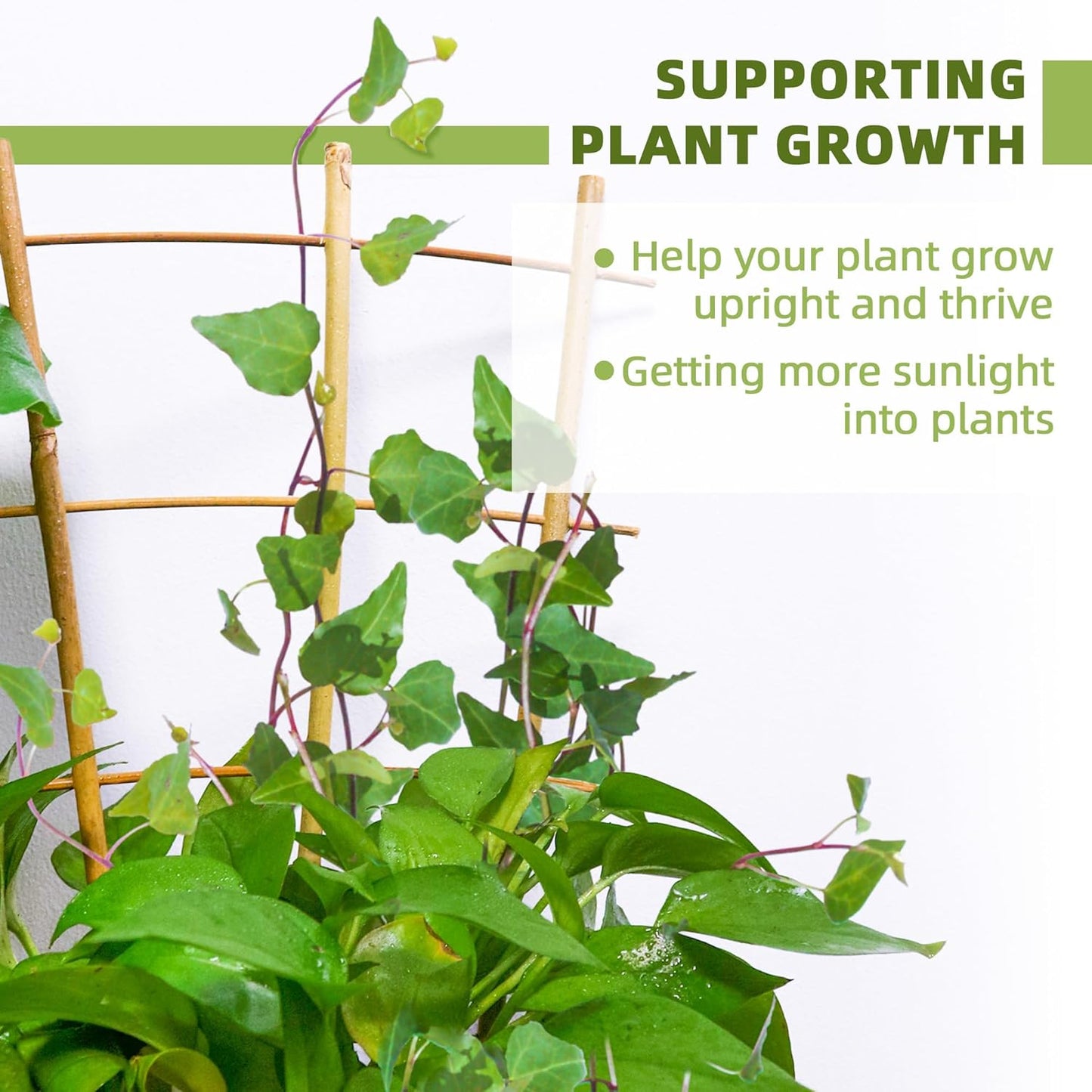 20 Pack 16" Bamboo Trellis for Climbing Plants-Natural Garden Ladder Fan -Shaped Plants Support Trellis for Potted Plant Decor in Door