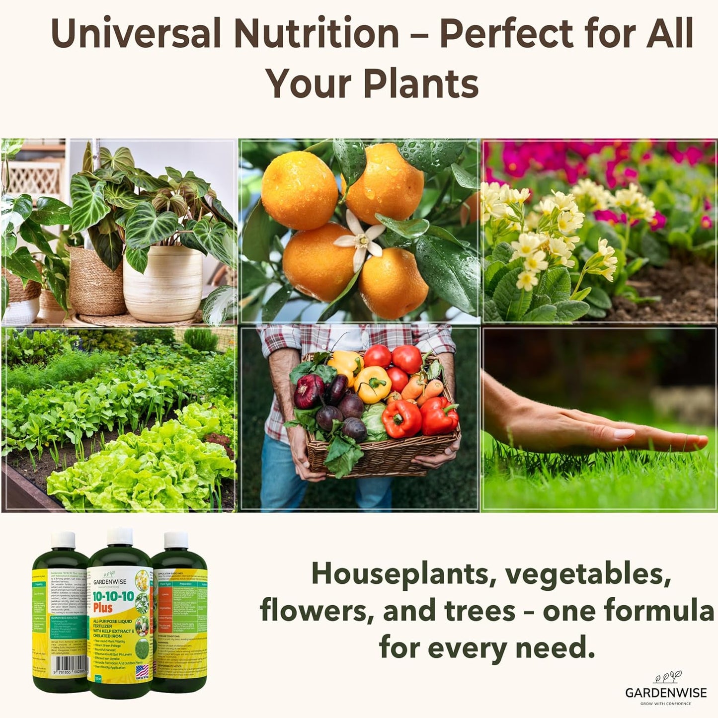 10-10-10 All Purpose Plant Food - Liquid Fertilizer with Seaweed Kelp & Iron - Indoor & Outdoor Plant Food, Vegetables, Flowers, Lawn & Garden 1x16 oz