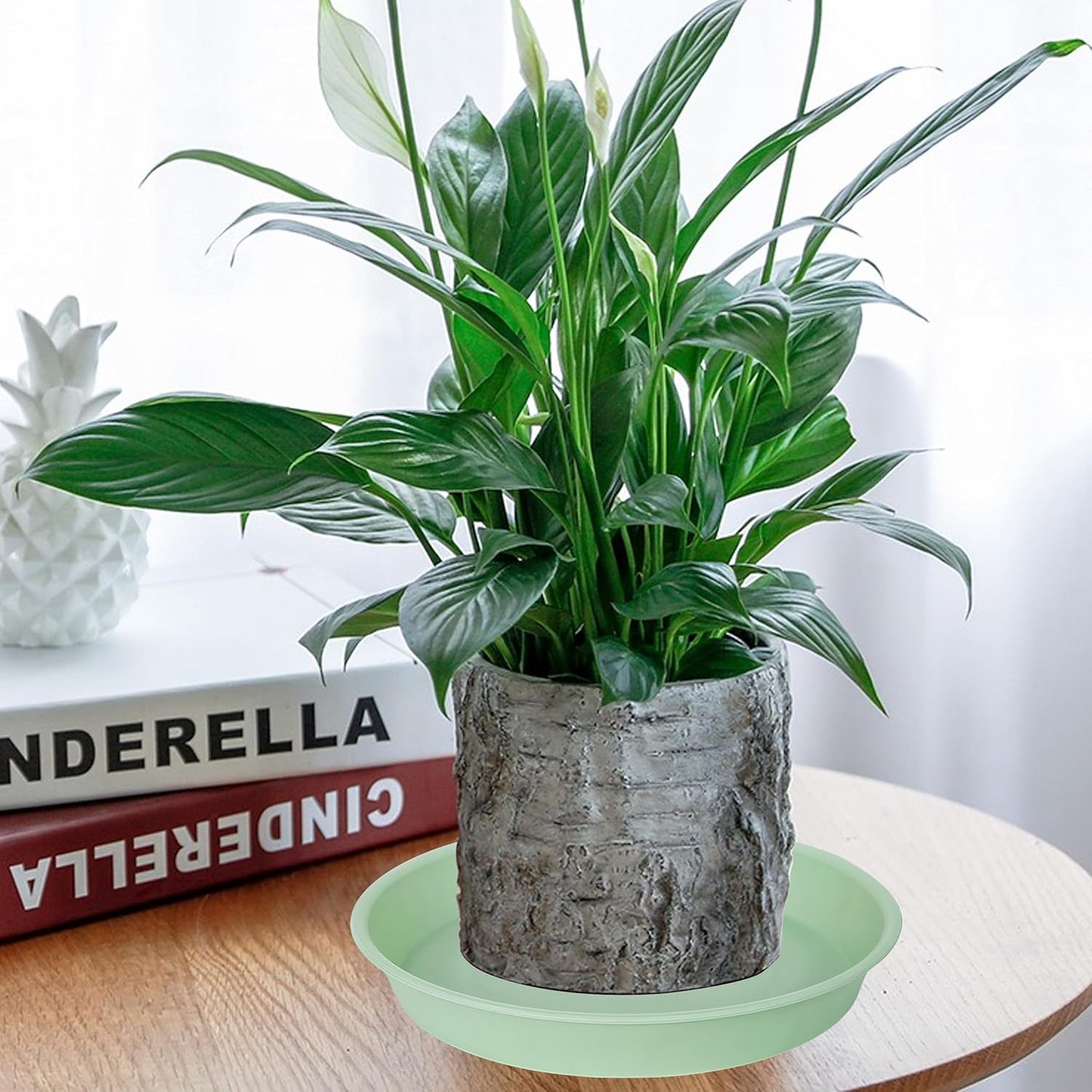 6 Pack of 6 inch Plant Saucer Drainage Tray, 4 5 7 8 10 12 13 15 17 19 inch Plastic Plant Water Tray, Flower Saucers for Indoors, Plant Dishes for Pots Base (6 inch, Light Green)