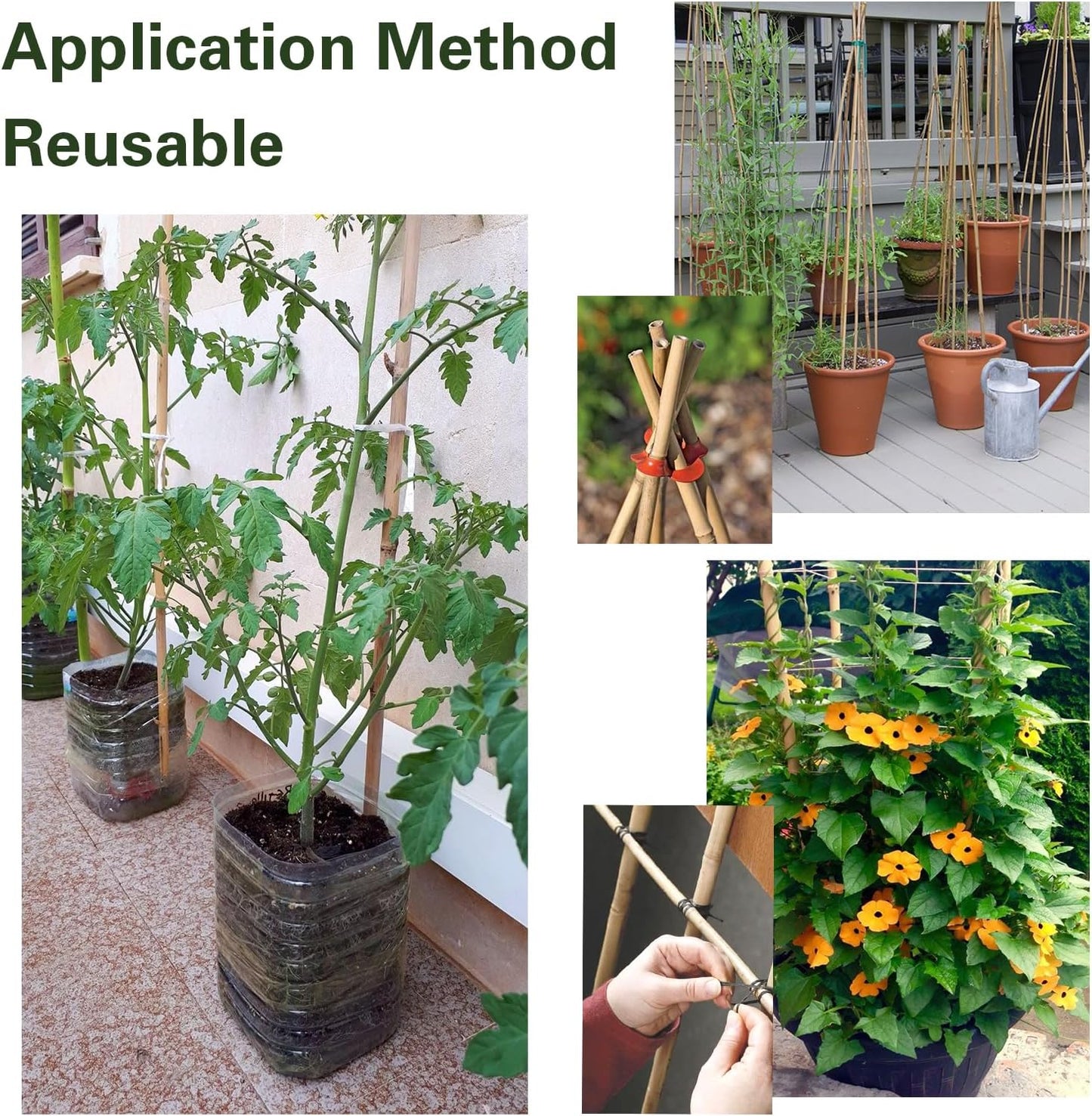 Bamboo Stakes 6 Feet 20pcs, 72" Garden Stakes Multi-Purpose, Bamboo Plant Support Stakes for Tomatoes, Beans, Cucumbers, Peppers, Potted Trees, Maintain The Plant Posture, Strengthen and Stem