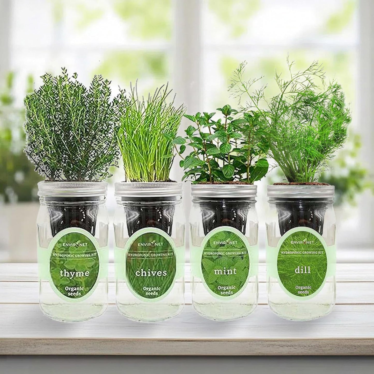 Hydroponic Herb Growing Kit Set, Self-Watering Mason Jar Herb Garden Starter Kit Indoor, Grow 4 Kinds of Herbs from Seeds (Mint,Thyme,Chives&Dill)