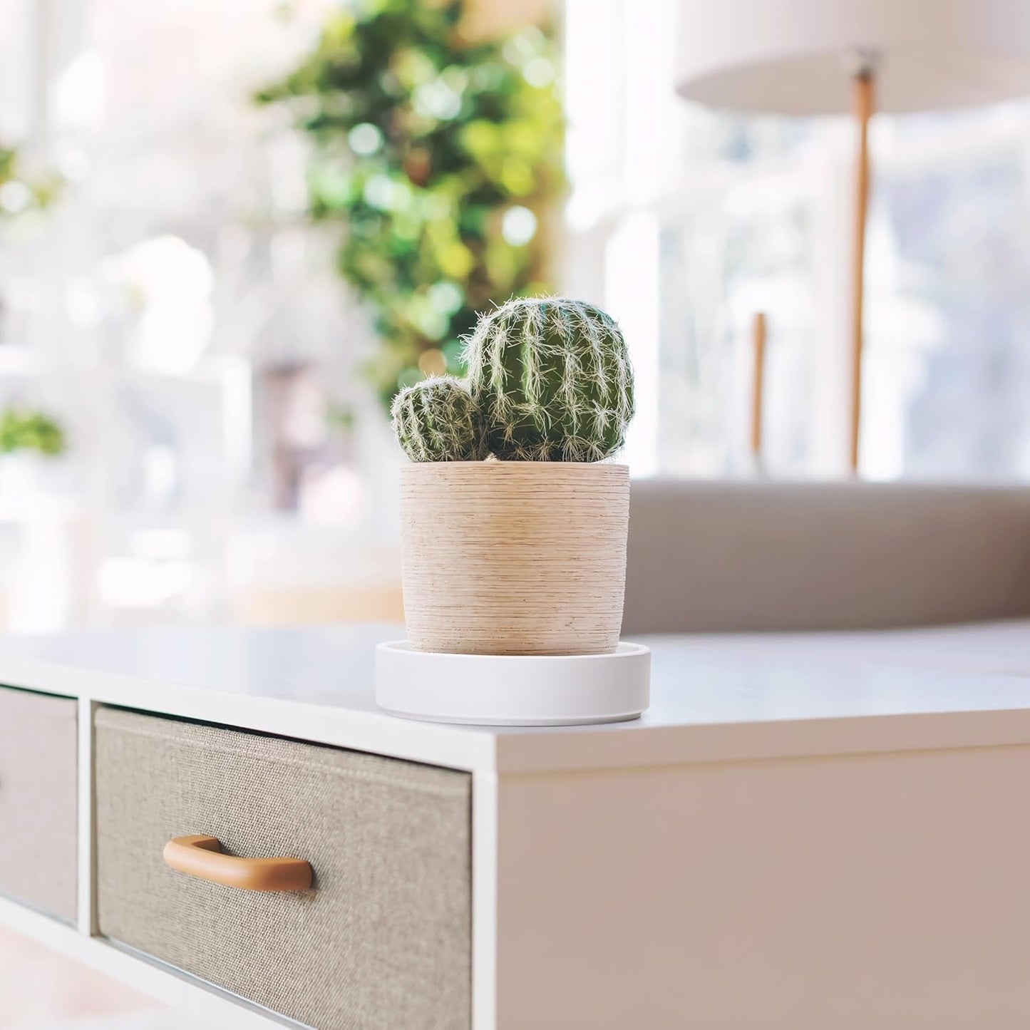 Phoenix Vine 6 Inch Plastic Plant Saucer Water Drip Tray, Heavy Sturdy Round Plant Drainage Tray for Indoors Outdoor, Set of 4, Matte White, 21-TY-6W-4