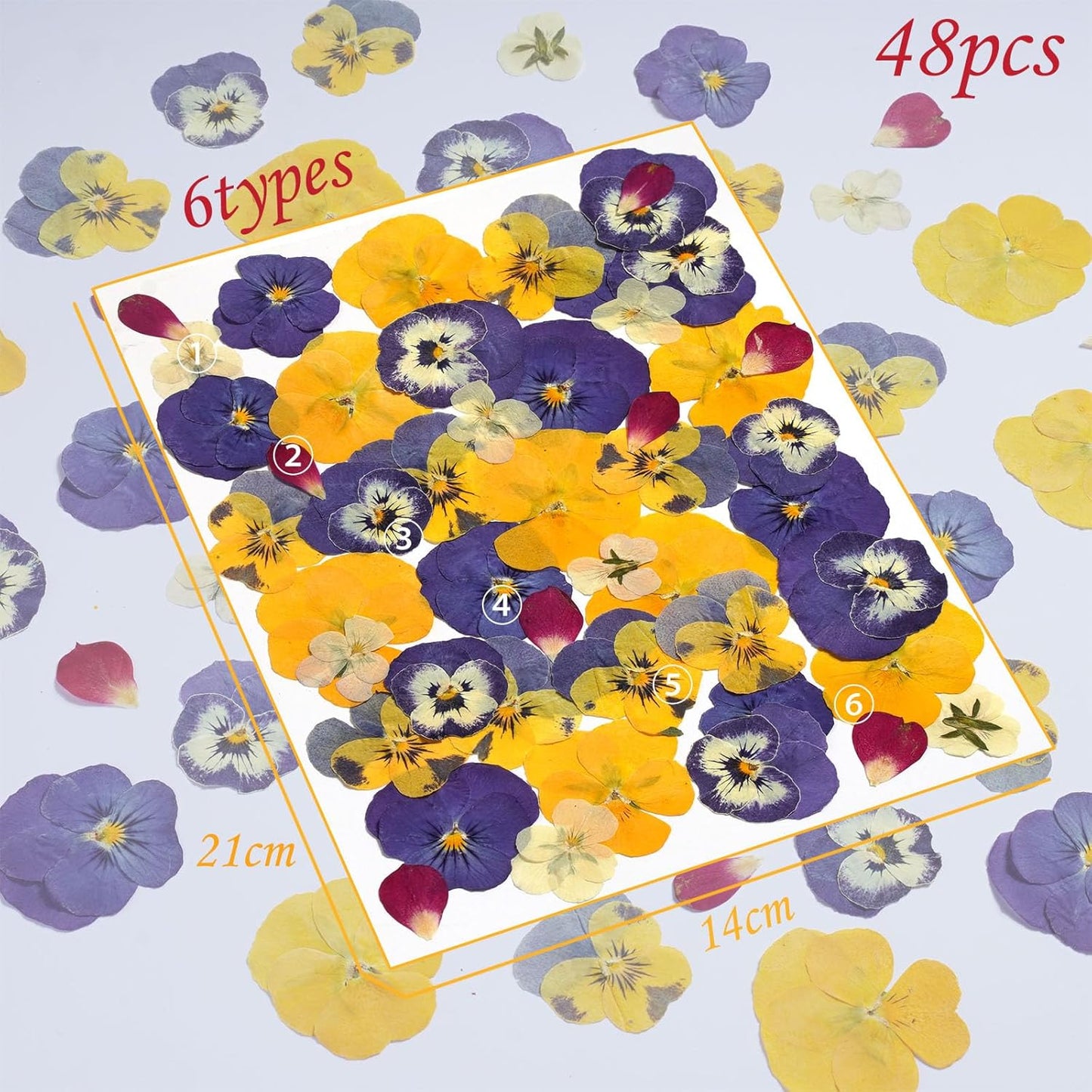 48 Pcs Mix Dried Pansy Flowers for Cake Topper Decoration, AHTONG Dried Pressed Flowers for Resin Jewelry Making Soap and Cupcake Decor(Pansy)