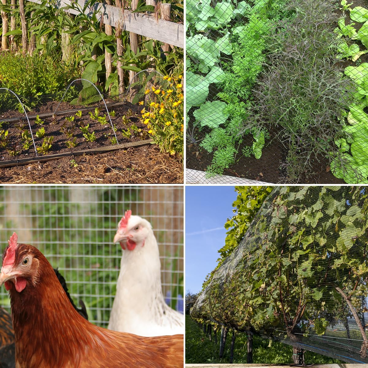 Bird Netting，15 x 15 FT Garden Netting Bird Net for Chicken Coop, Poultry Netting Fence for Fruit Trees, Plants and Vegetables Against Birds, Deer, Squirrels and Other Animals
