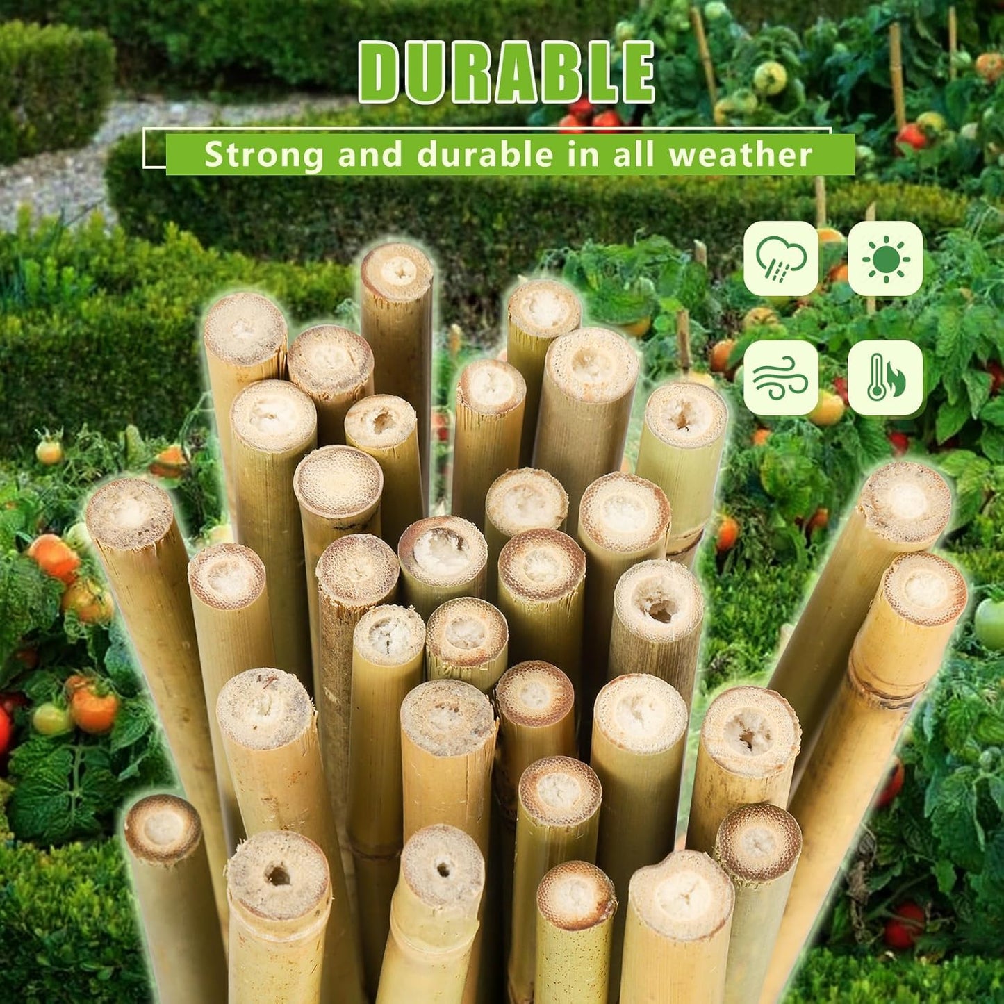 Natural Bamboo Poles, 6 Feet Bamboo Sticks for Plants, Wood Garden Stakes for Tomato, Bean, Flowers, Trees Potted and Climbing Plants, 15 Pack