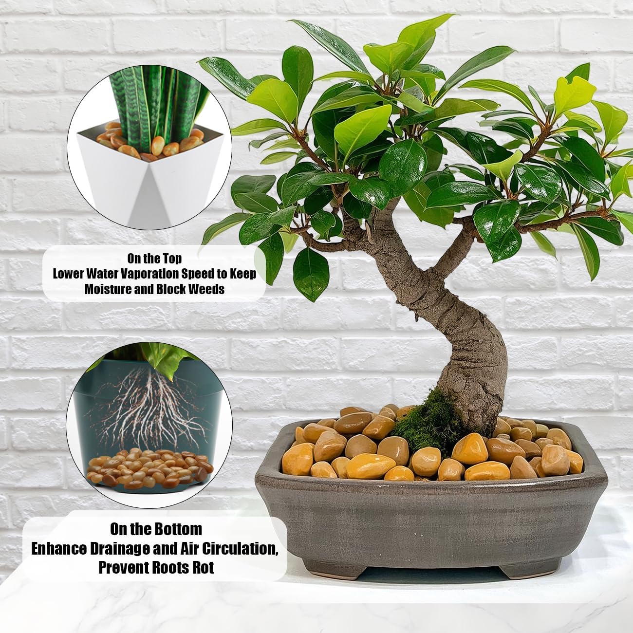 1 Pack 5 Lbs Random Color River Rocks for Plants,0.8-1.5 Inch Decorative Ornamental Pebbels, High Polished Stones for Garden Landscaping, Smooth Gravel Filler, Succulents, Fish Tank, Yellow/White