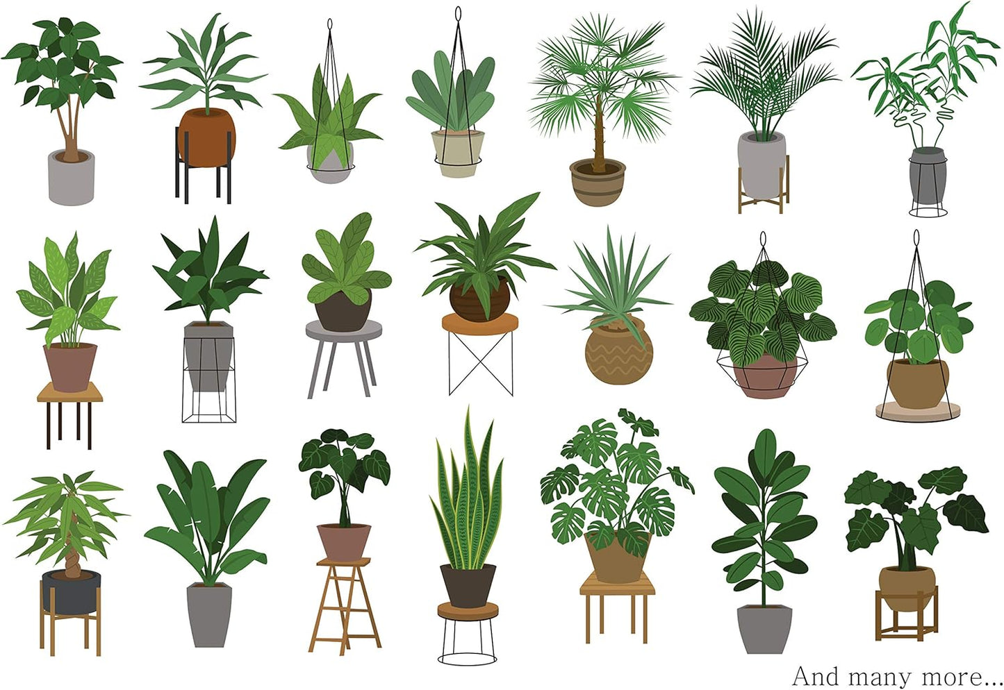 Indoor Plant Food | All-purpose House Plant Fertilizer | Liquid Common Houseplant Fertilizers for Potted Planting Soil | by Aquatic Arts