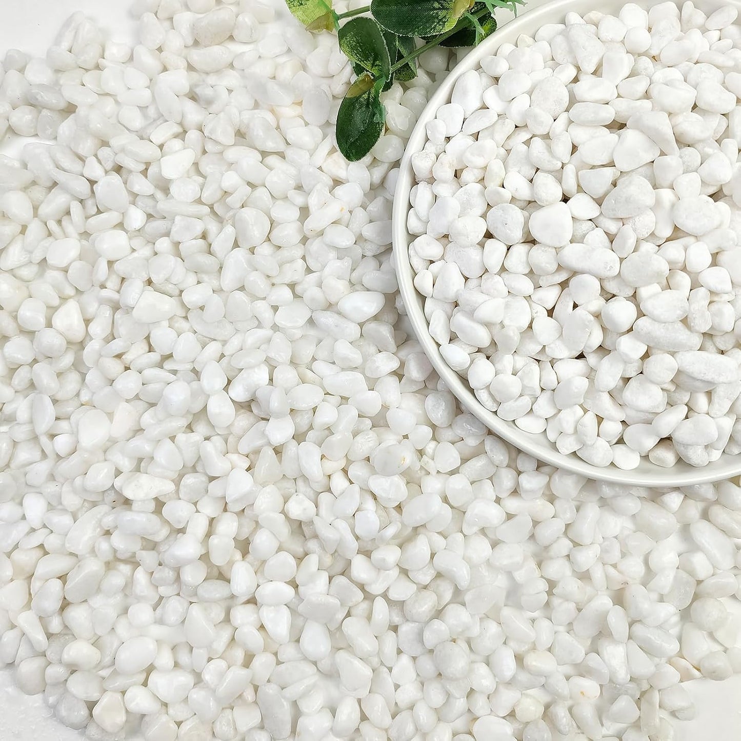 5lbs White Pebbles for Indoor Plants, 3/8inch Small Rocks for Succulent Cactus Planters, Natural Polished Pebbles, River Rocks for Plants, Vases, Garden