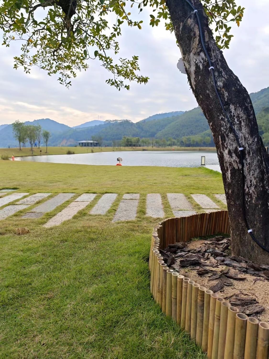 Bamboo 2 Pack Short Fence Outdoor Landscape Edging Flexible Decorative Border 7.8'' H x 47'' L