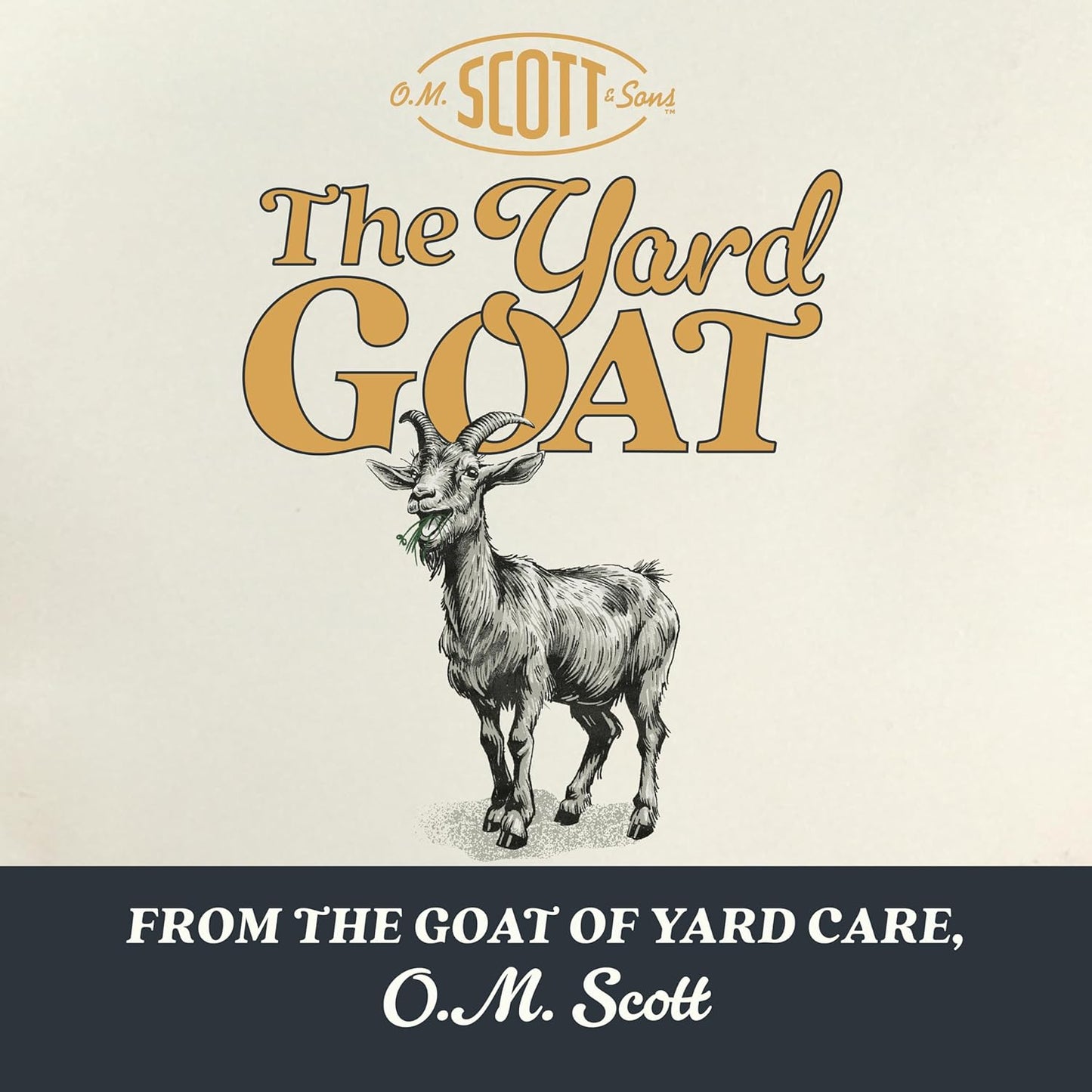 O.M. Scott and Sons Clover Seed, Lawn Seed Grows a Naturally Low Maintenance, Drought-Tolerant Lawn, 1,000 sq. ft., 2 lb., 2-Pack