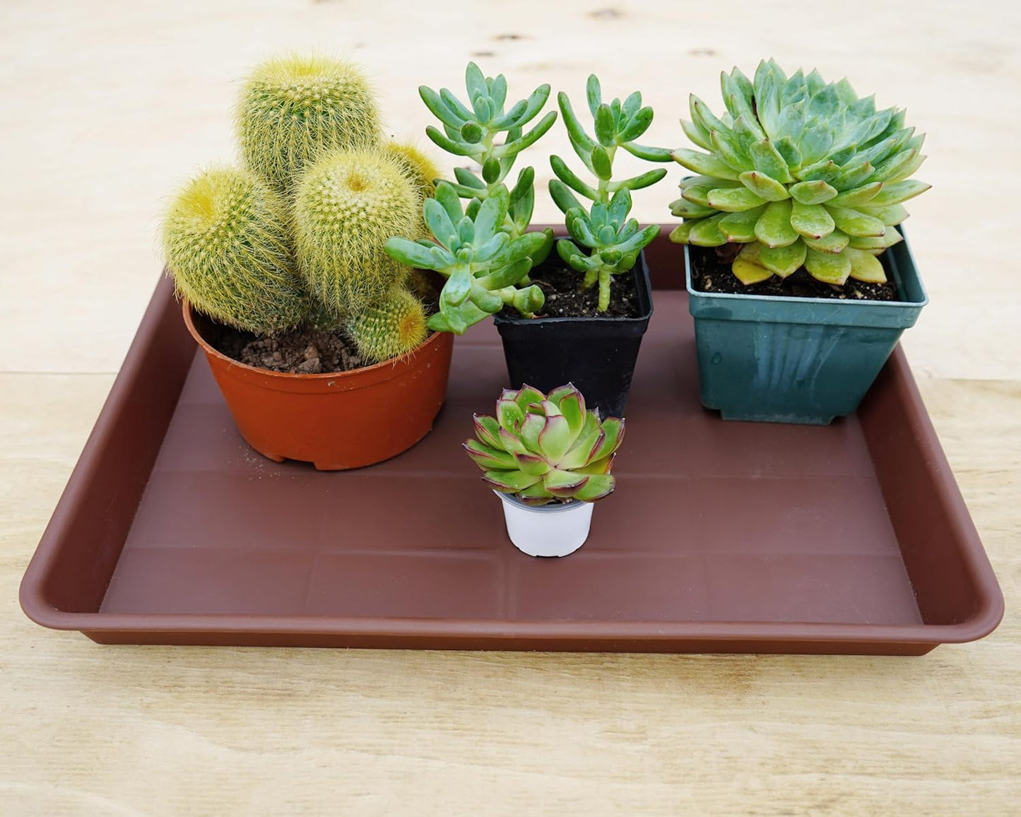 Plant Saucer Growing Tray, Seed Starter Tray Rectangular, Heavy Sturdy Plastic Plant Saucers Drainage Trays, Plant Drip Trays for Pots, Seed Starter Growing Tray (11 x 9 inch, 6 Pack)